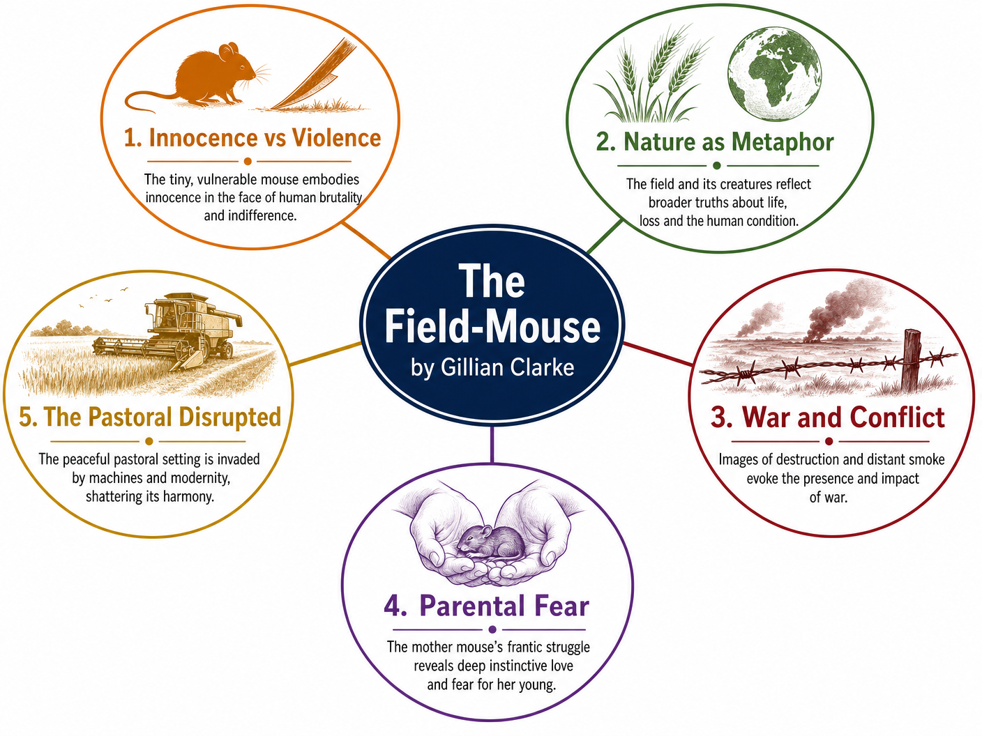 Key Themes in The Field-Mouse