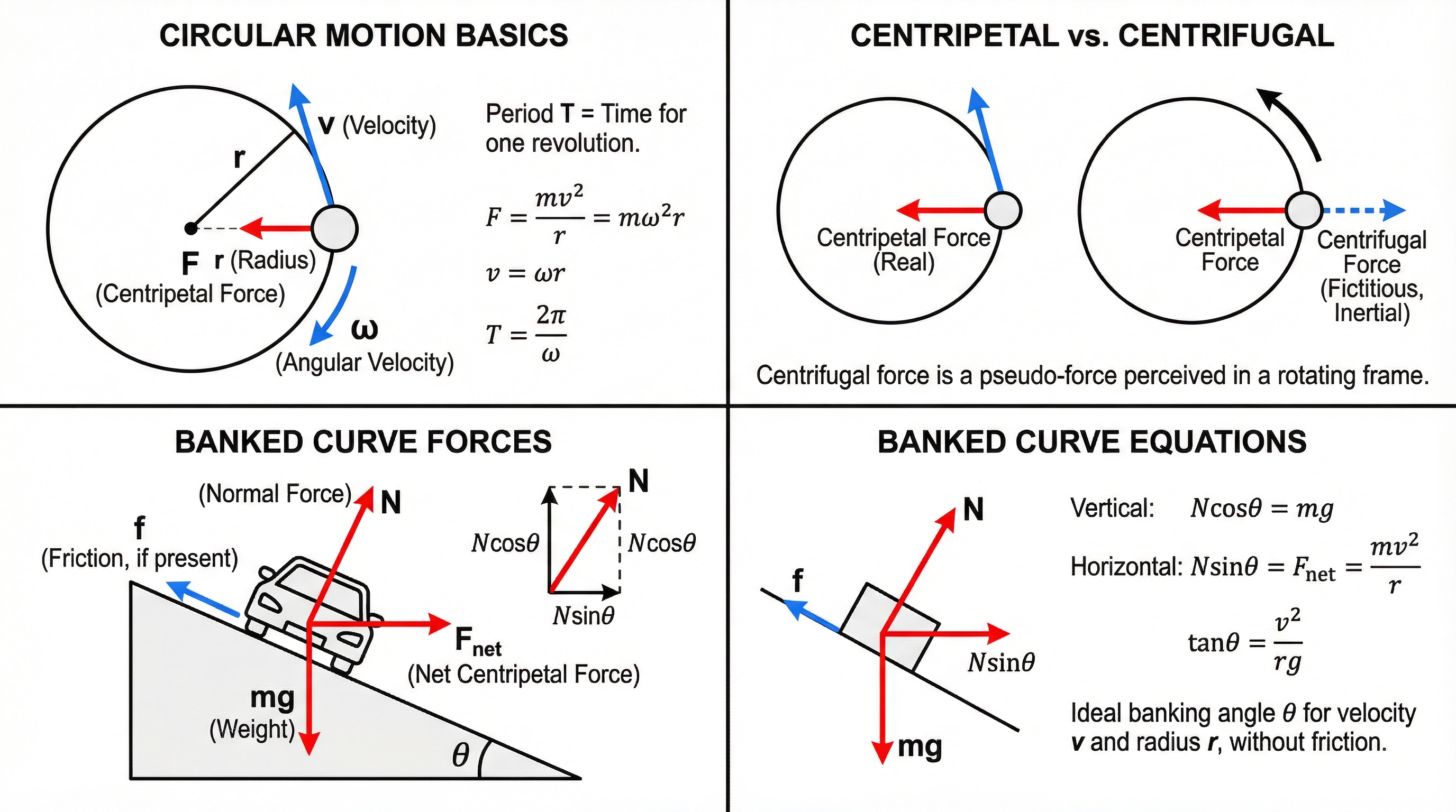 Forces in Circular Motion