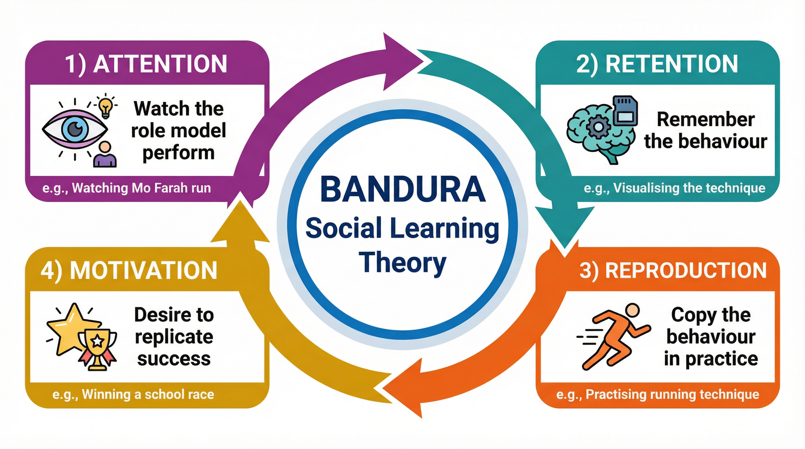 Bandura's Social Learning Theory Cycle