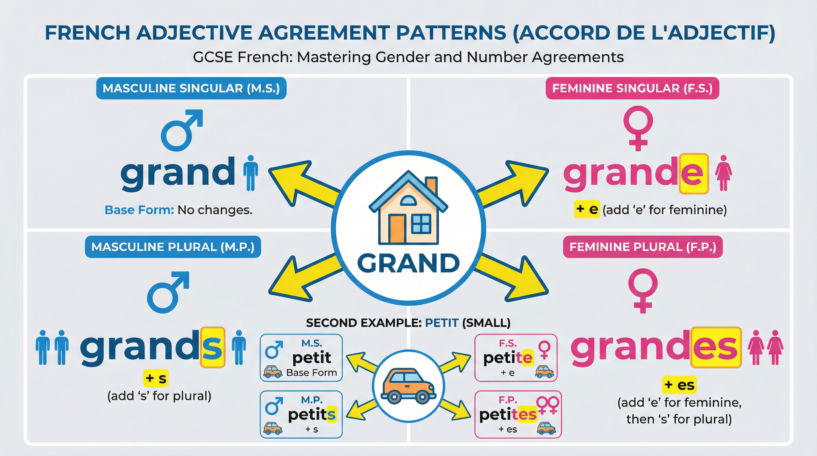 French Adjective Agreement Patterns