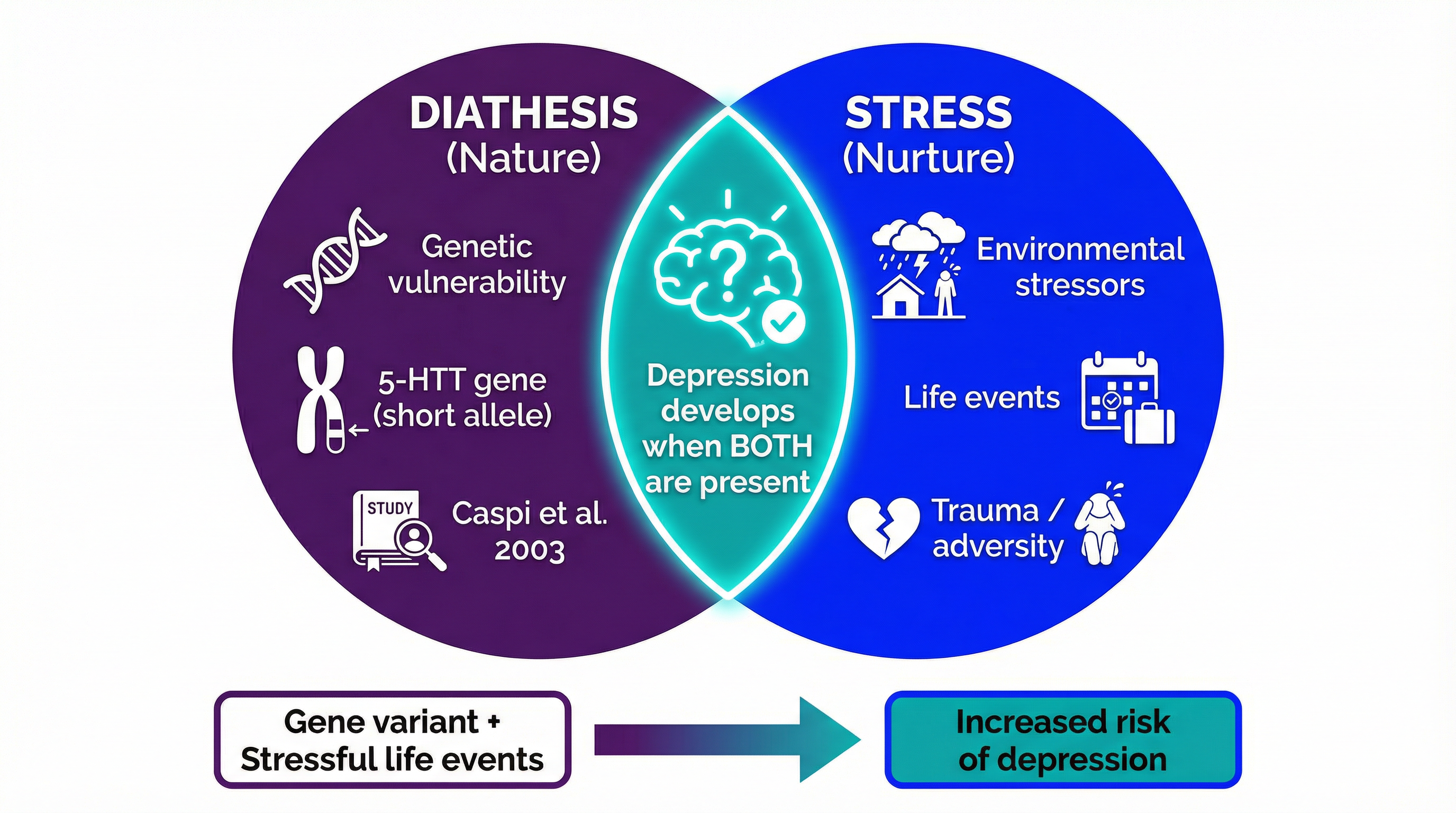 diathesis_stress_diagram.png