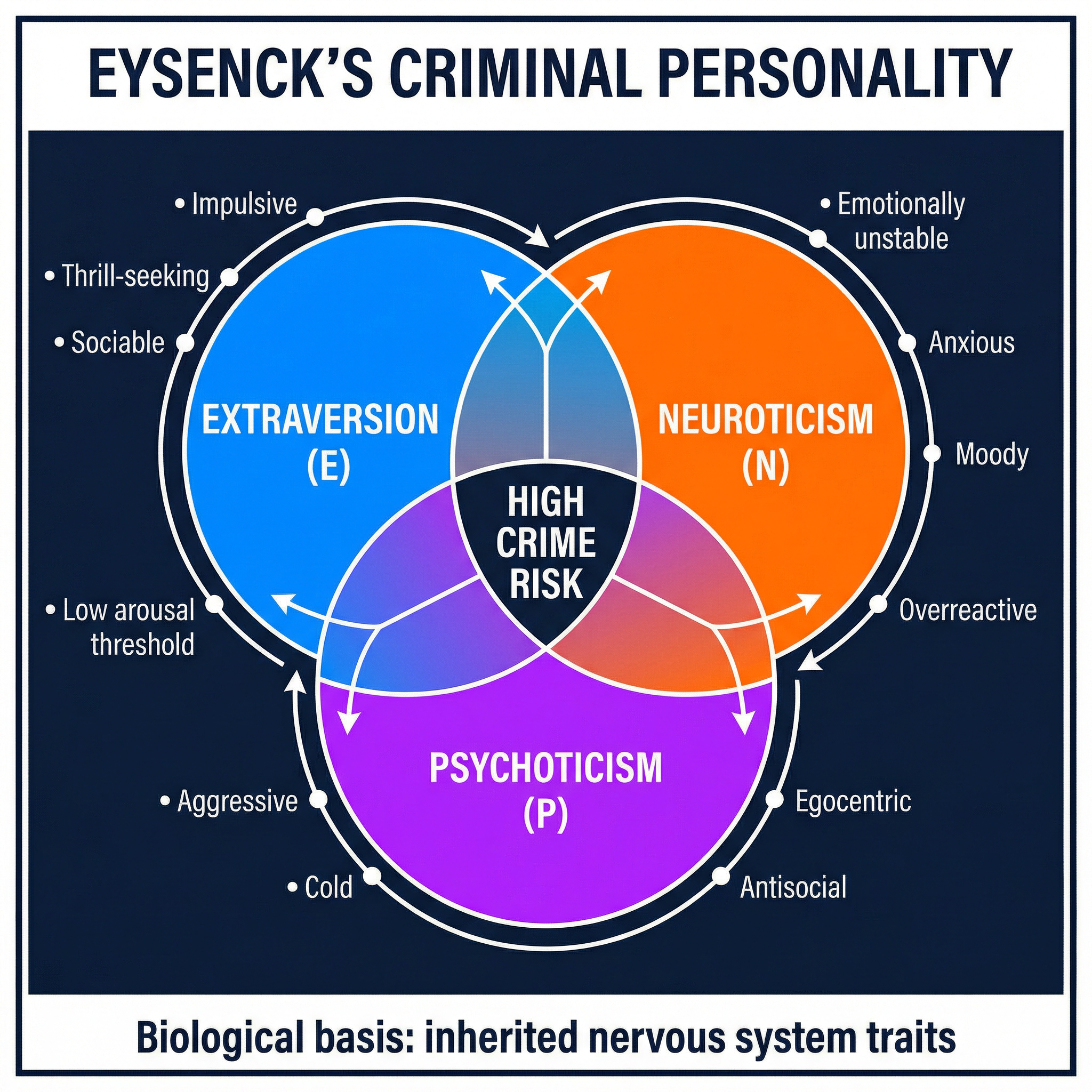 Eysenck's Criminal Personality Theory — the three dimensions and their overlap