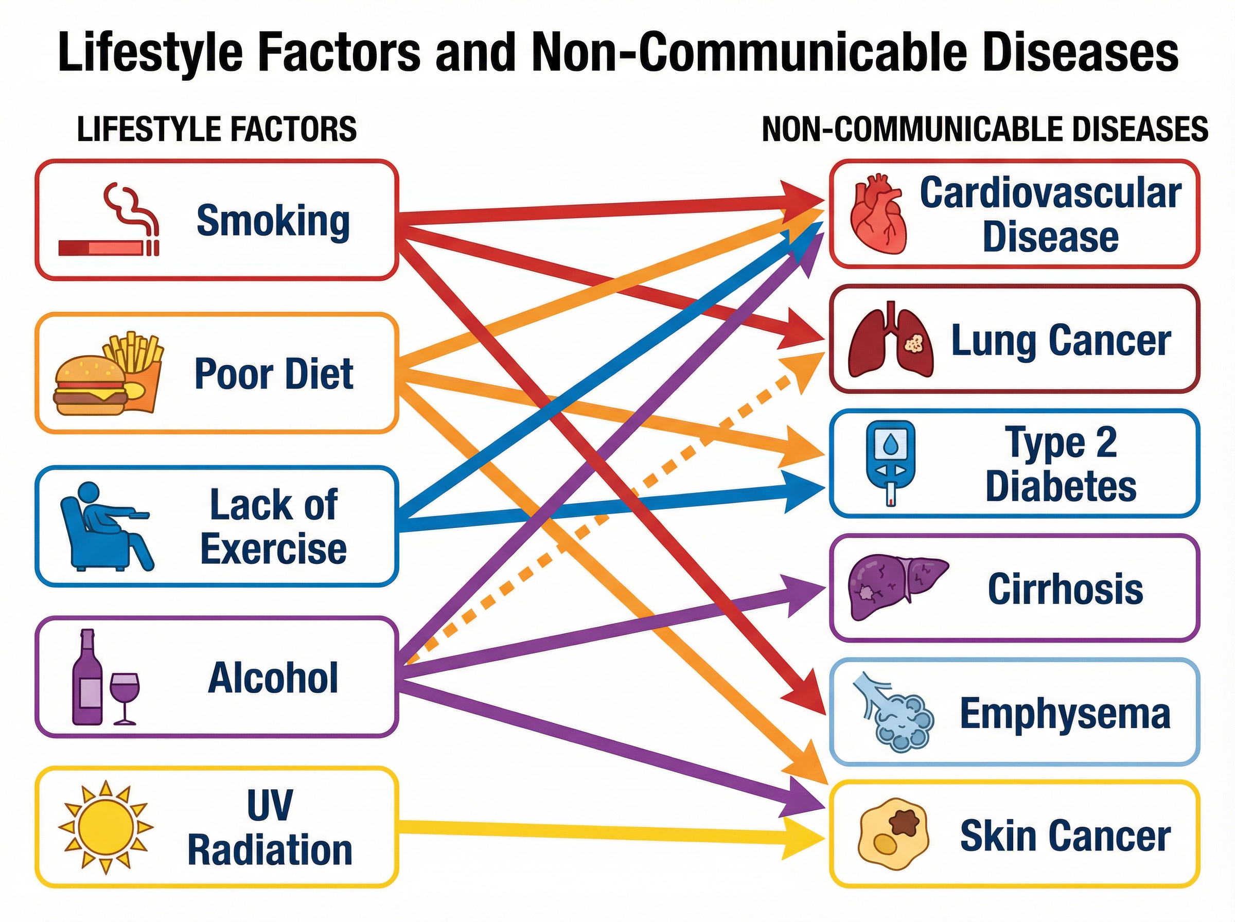 How lifestyle factors interact to cause non-communicable diseases
