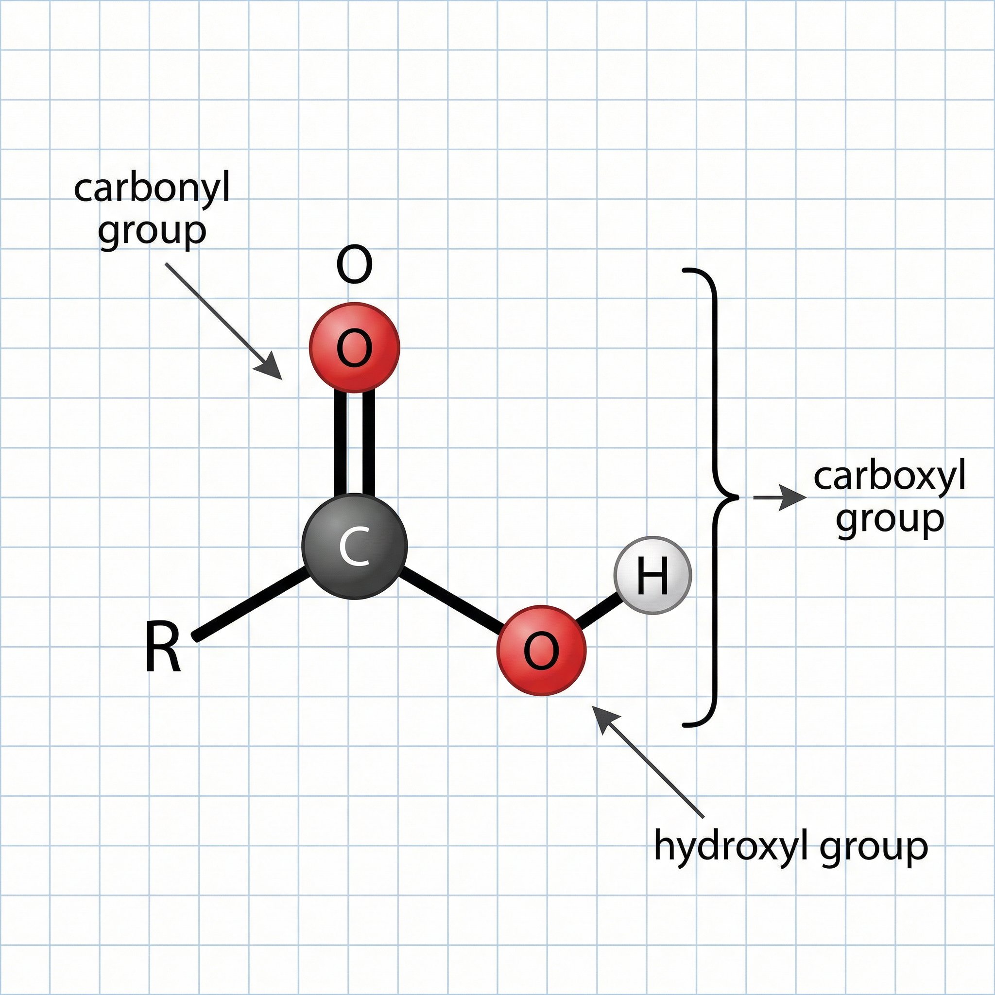 Key concepts and relationships