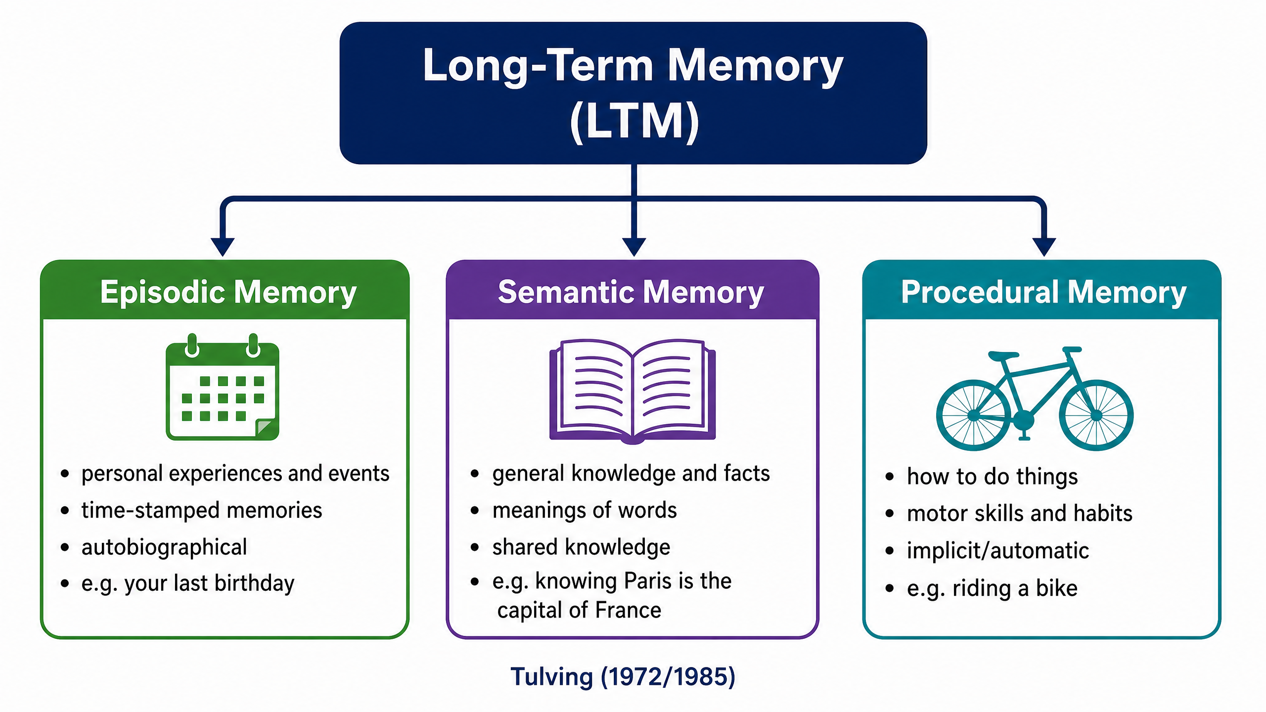 Types of Long-Term Memory (Tulving)