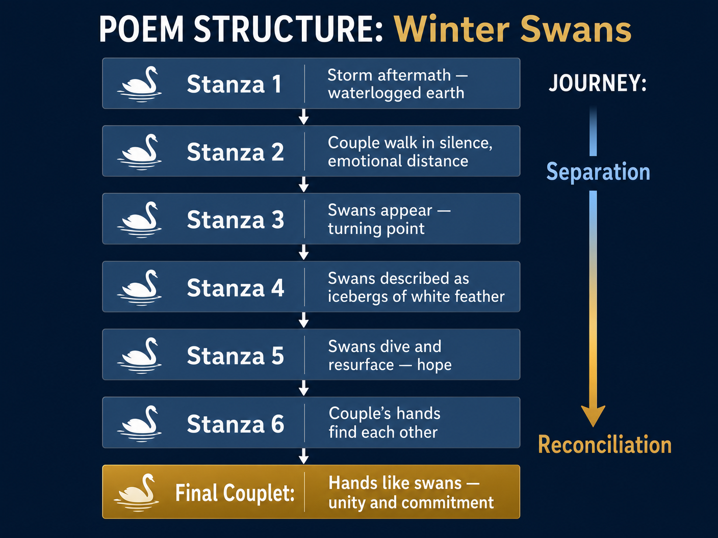 Structural Analysis of Winter Swans