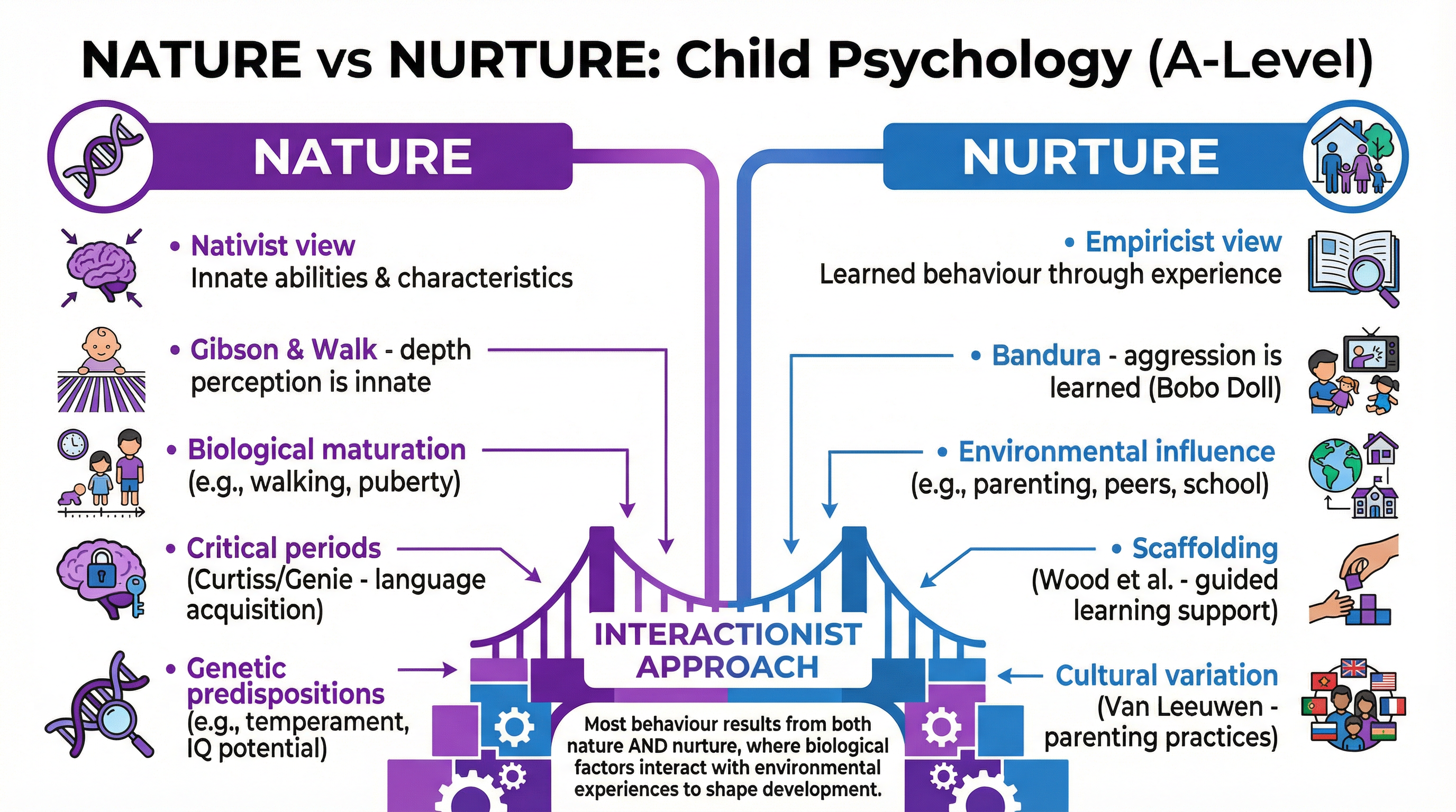 The Nature vs. Nurture Debate in Child Psychology.