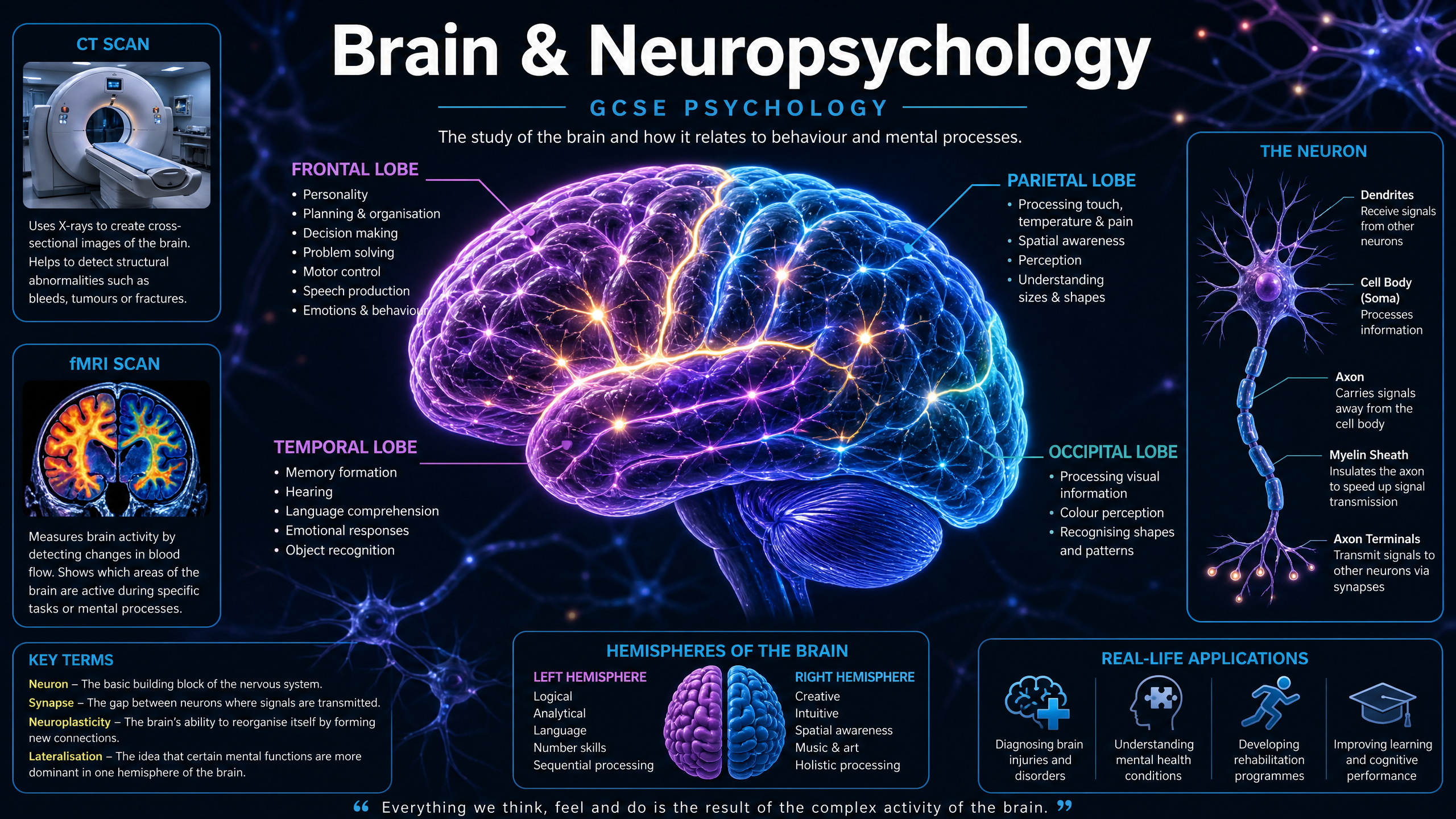 Brain and Neuropsychology Overview