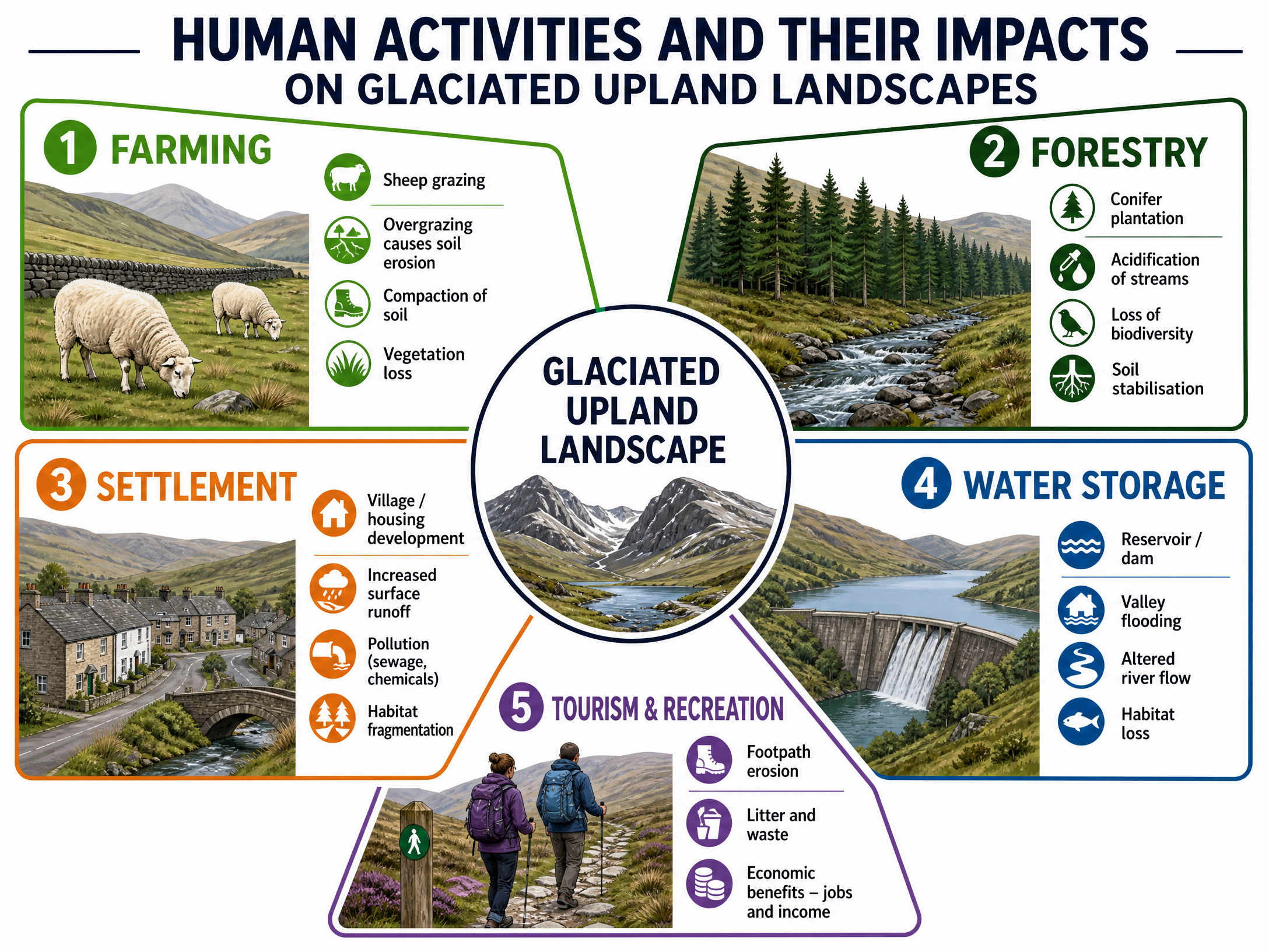 Human Activities and Their Impacts