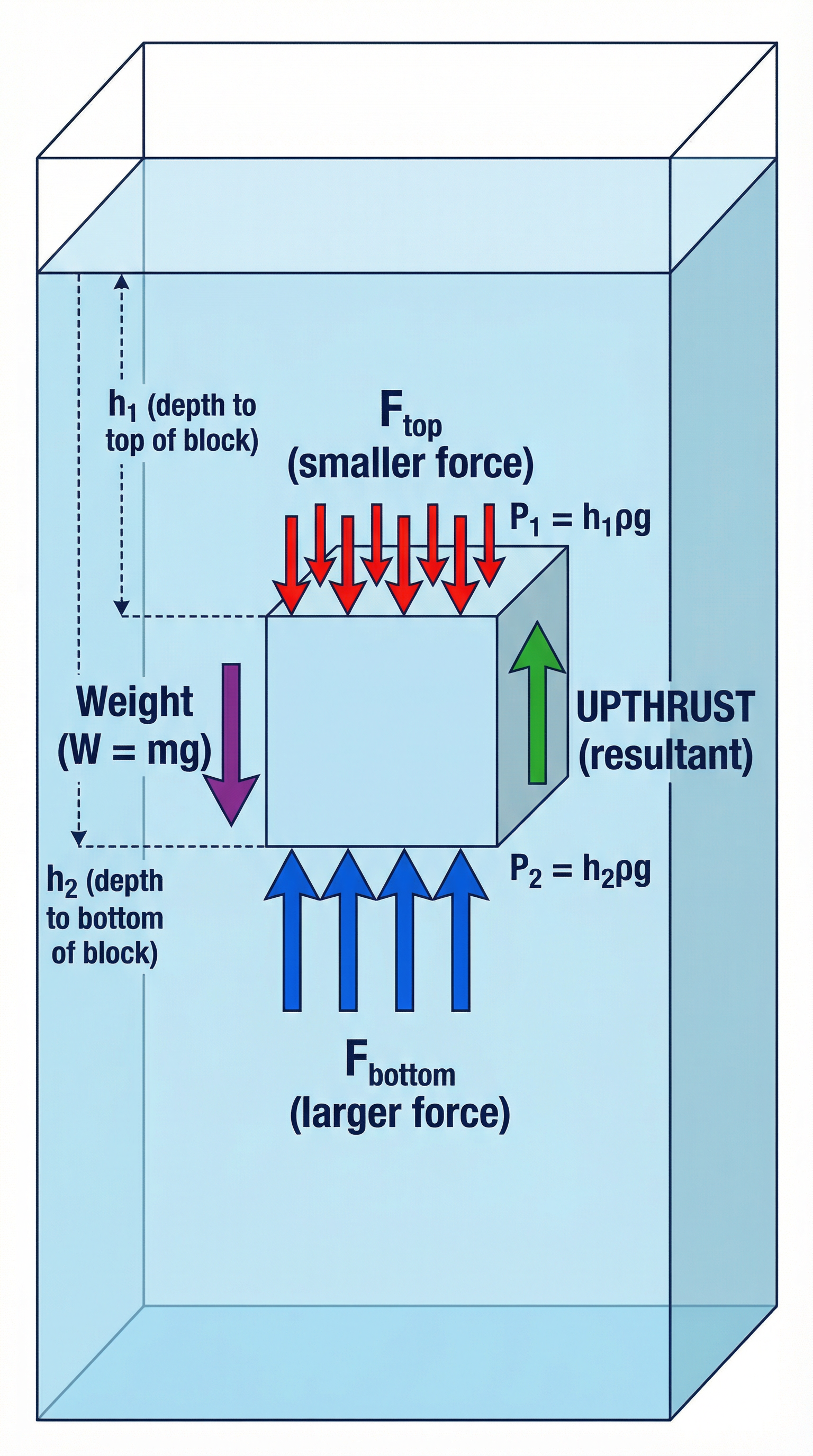 Diagram showing the origin of upthrust from the pressure difference with depth.