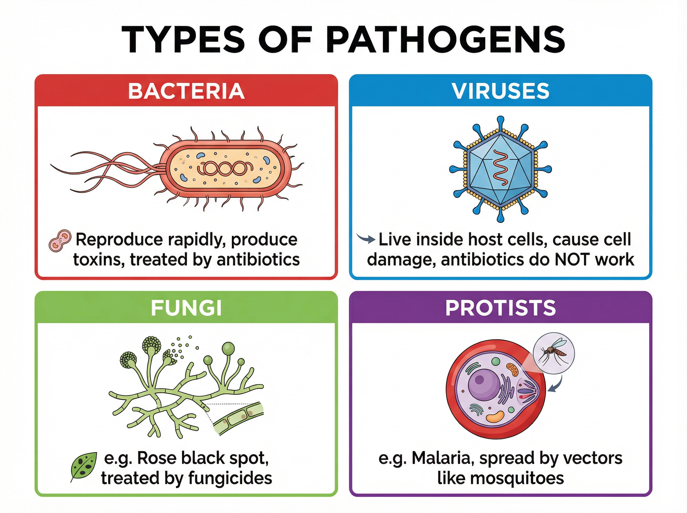 The Four Types of Pathogens