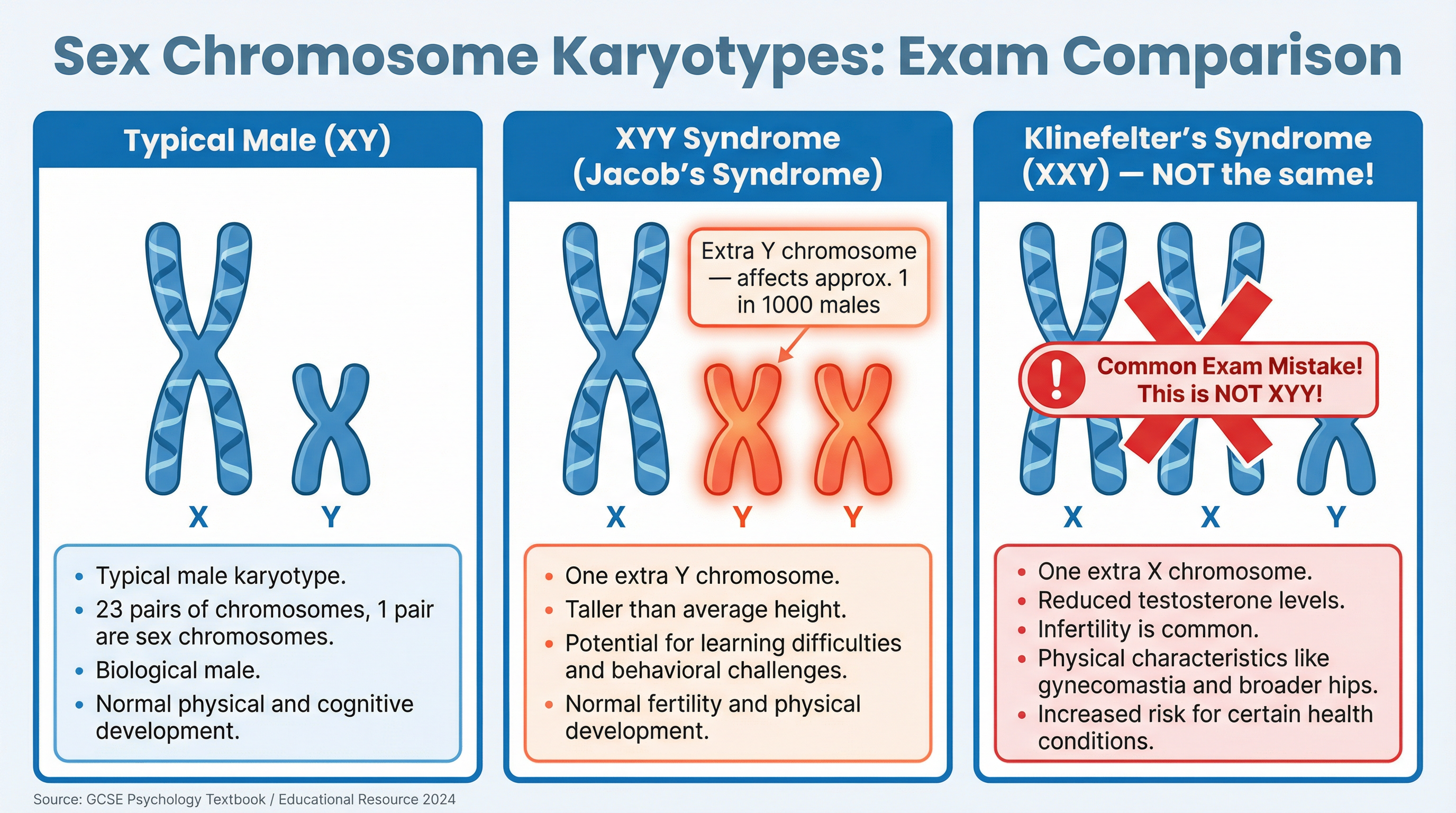 A comparison of sex chromosome karyotypes to avoid common exam mistakes.