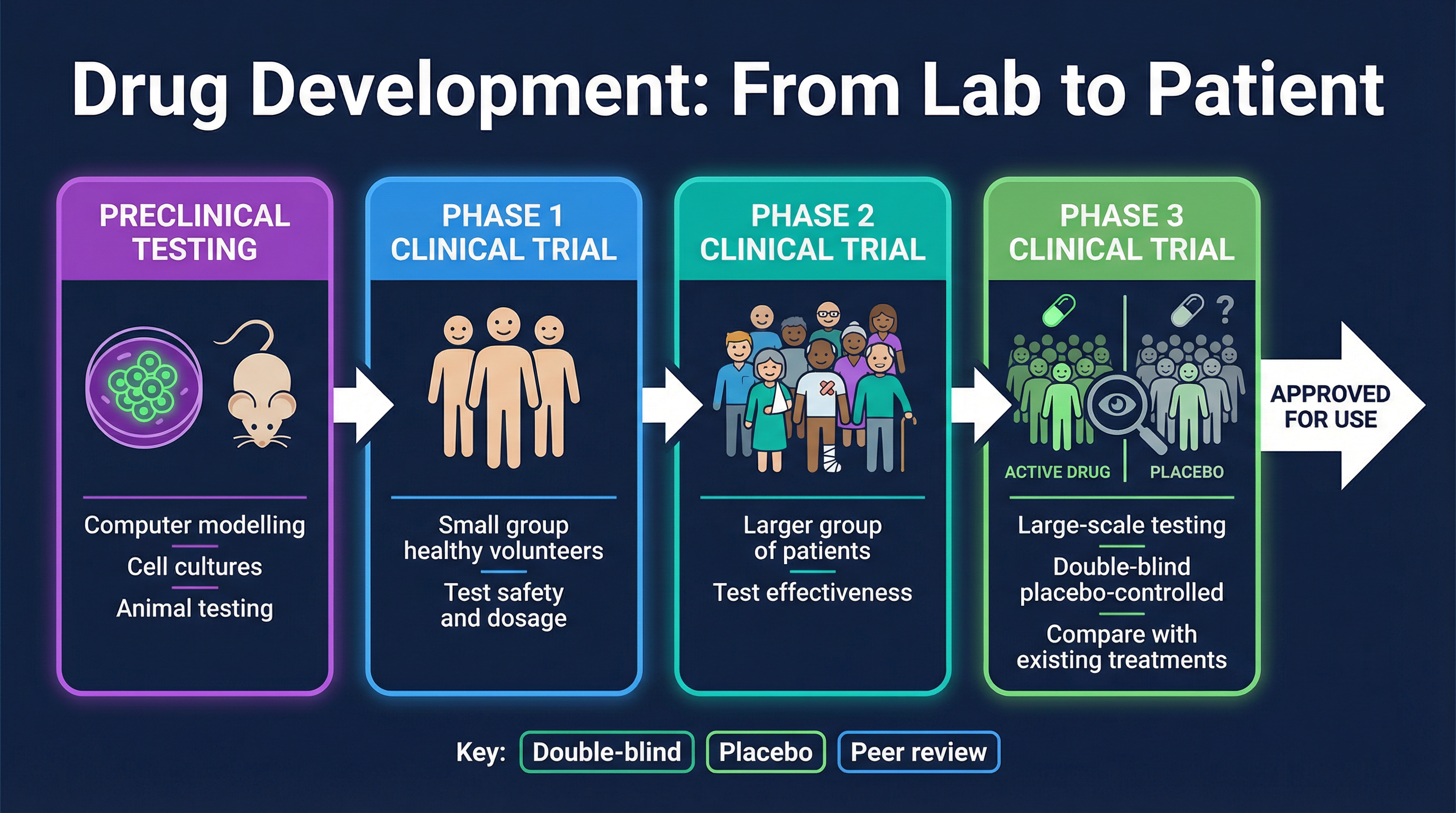 Stages of Drug Development