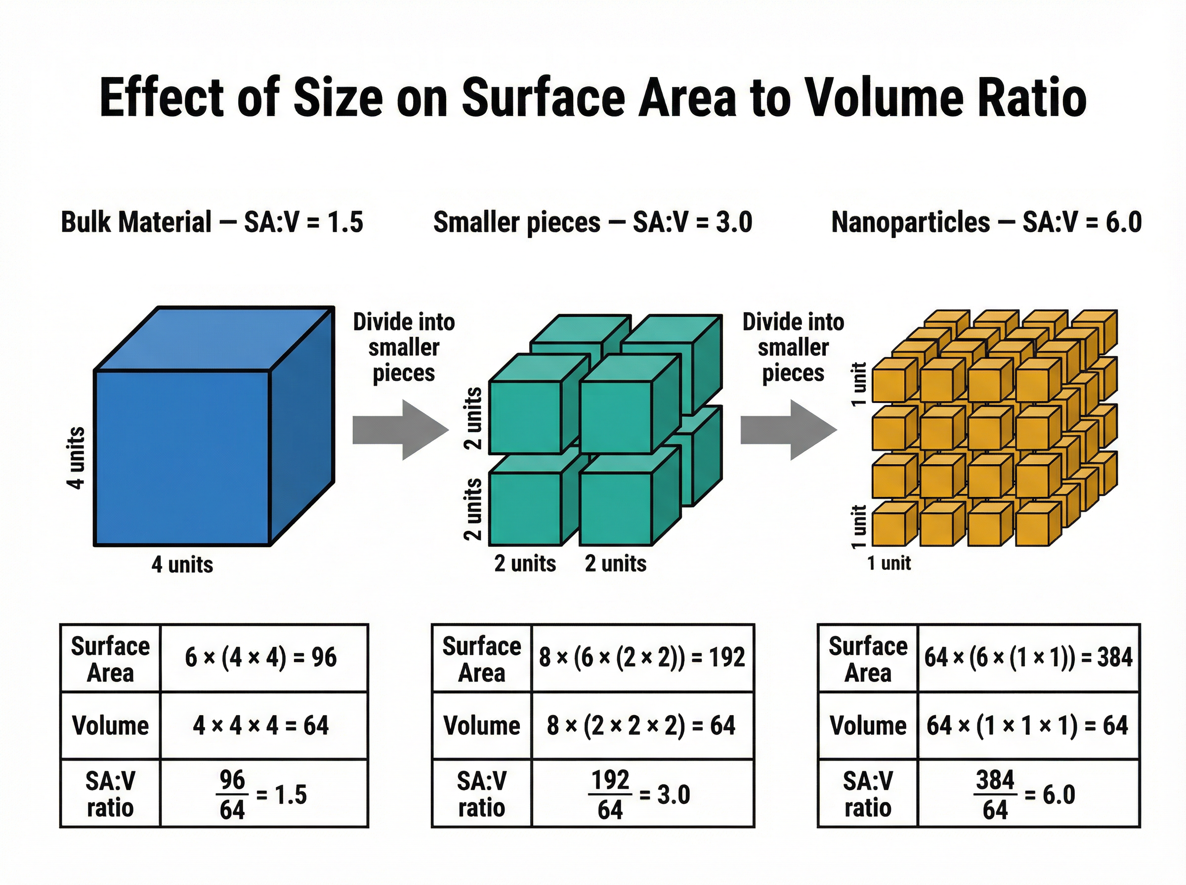 Effect of Size on Surface Area to Volume Ratio