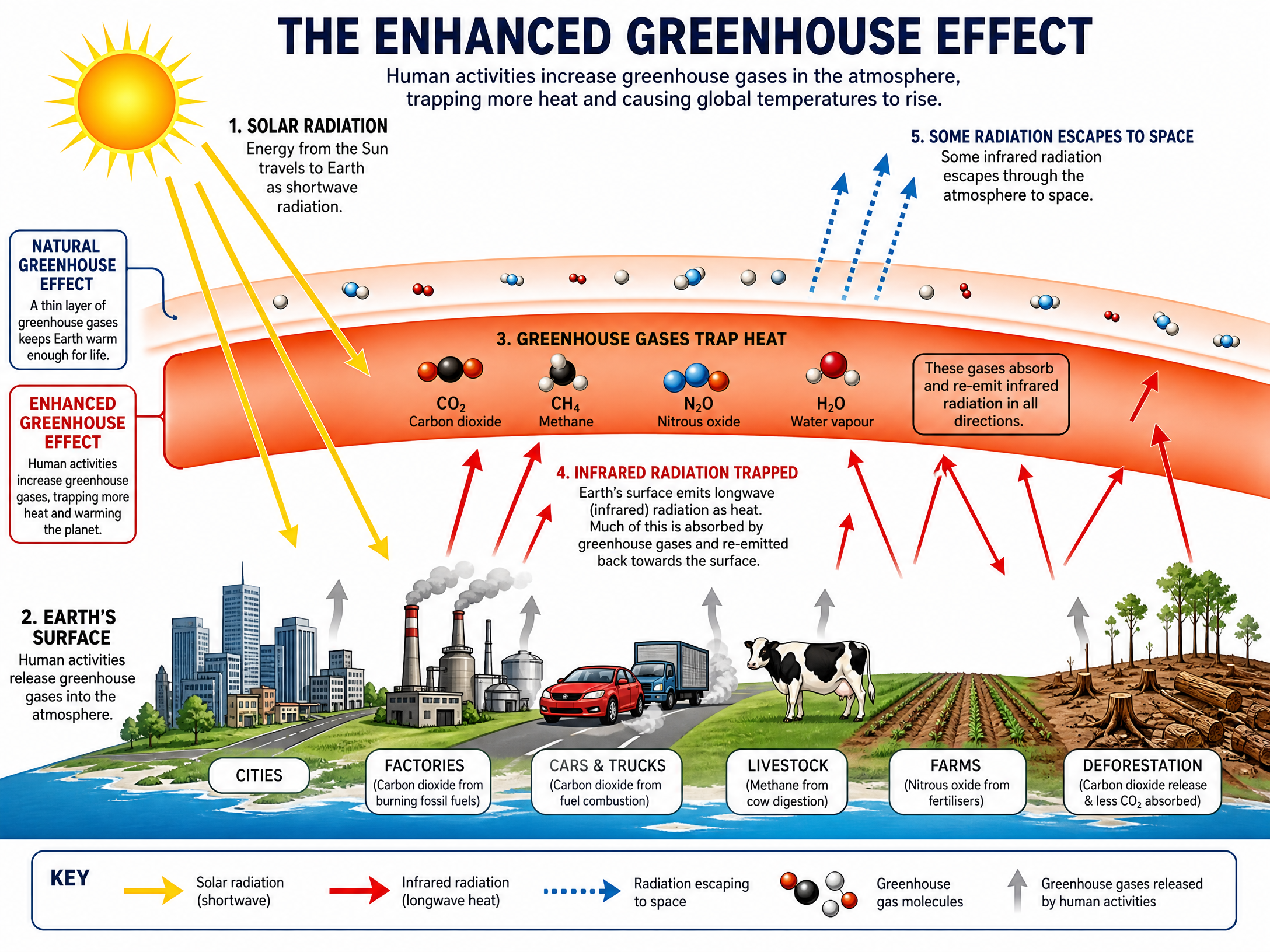 The Enhanced Greenhouse Effect Mechanism