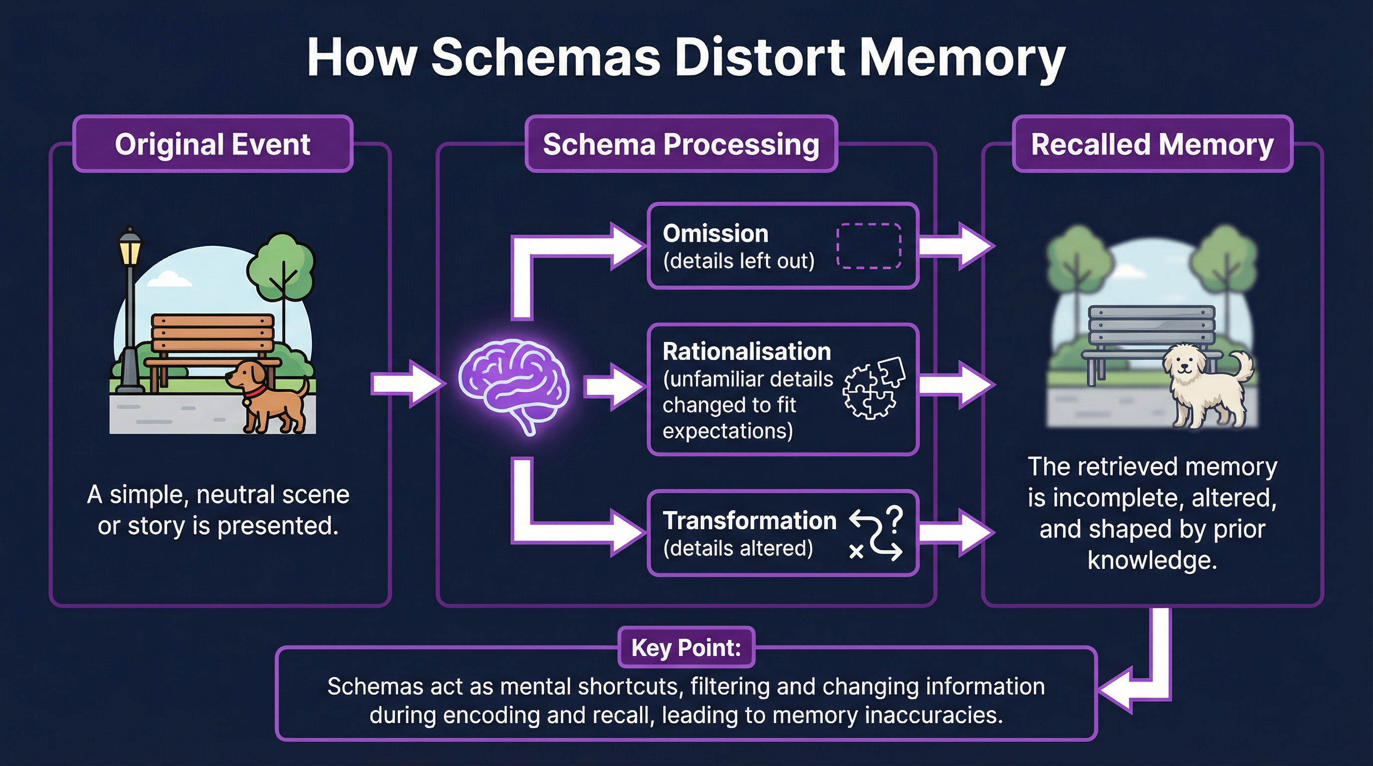 How Schemas Distort Memory