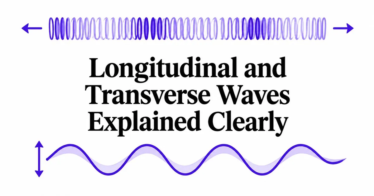Illustration for Longitudinal and Transverse Waves Explained Clearly