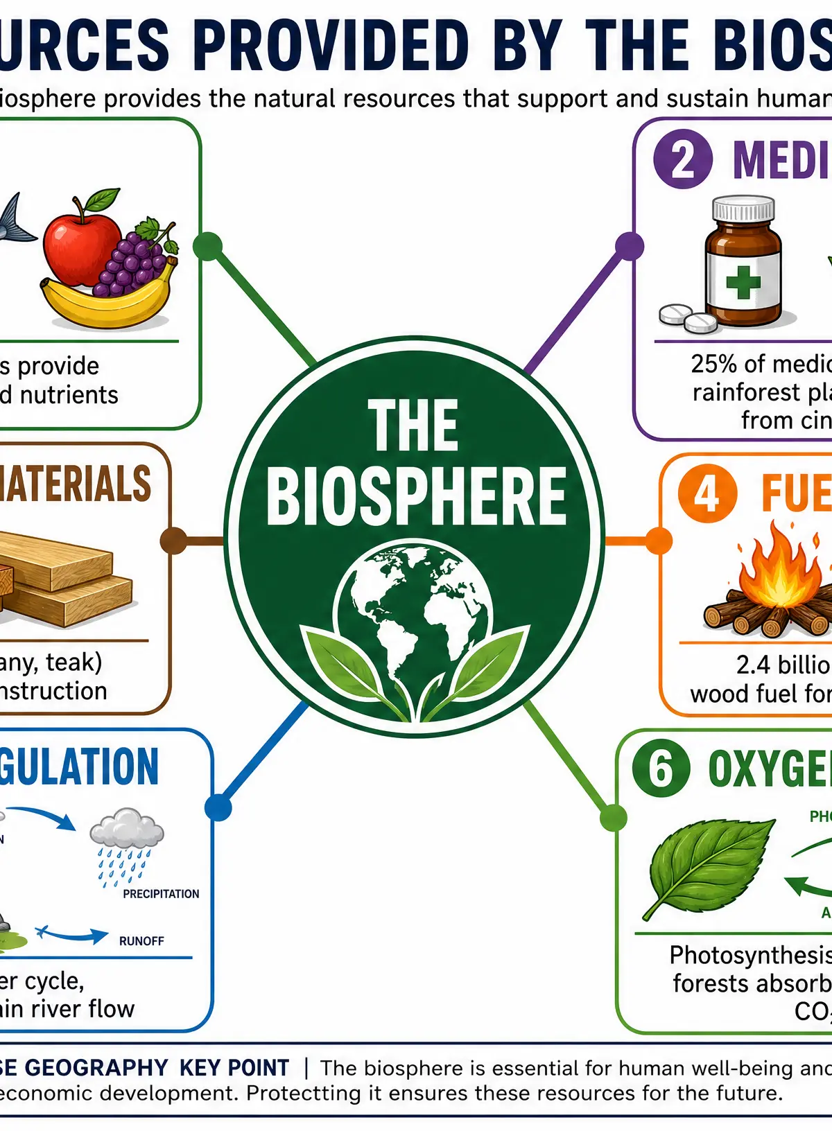 Resources Provided by the Biosphere