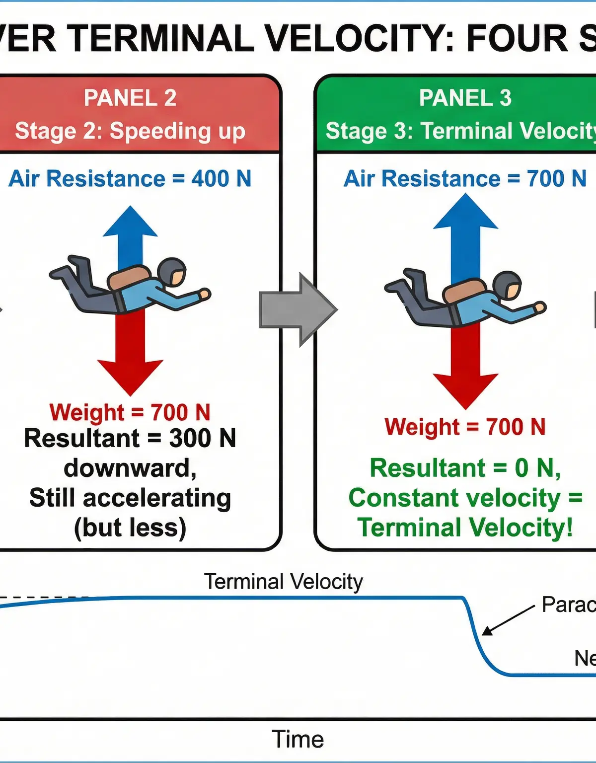 The four stages of motion for a skydiver, illustrating the changing resultant force.