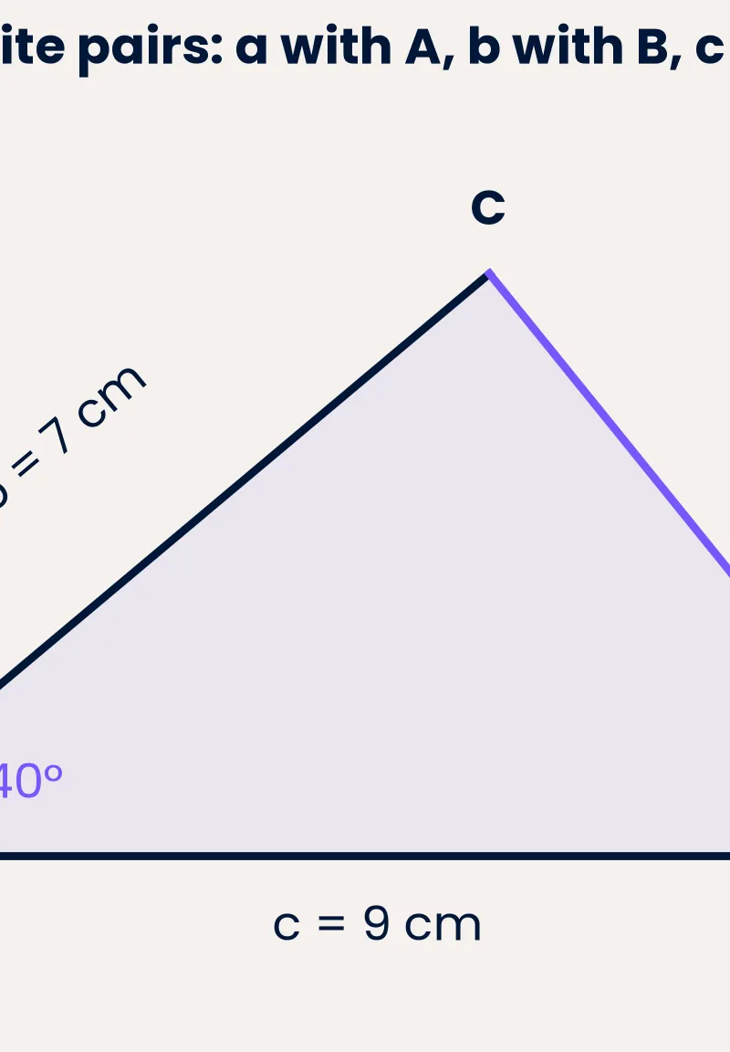Opposite pairs and the included angle for Worked Example 3.