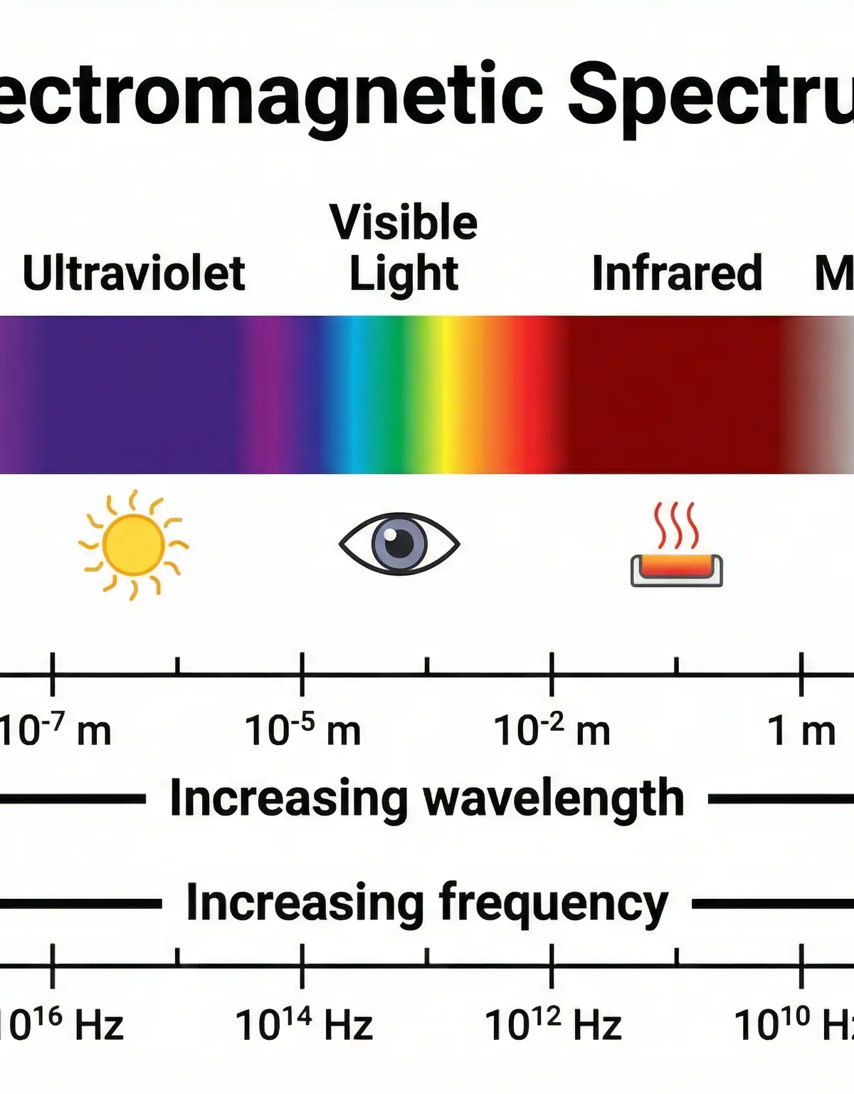 The Electromagnetic Spectrum
