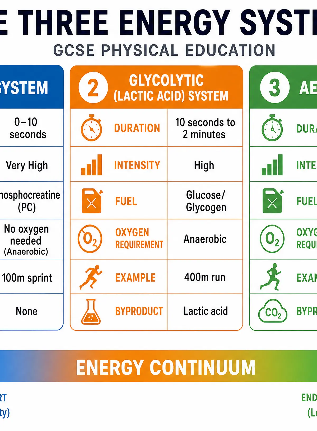 The Three Energy Systems