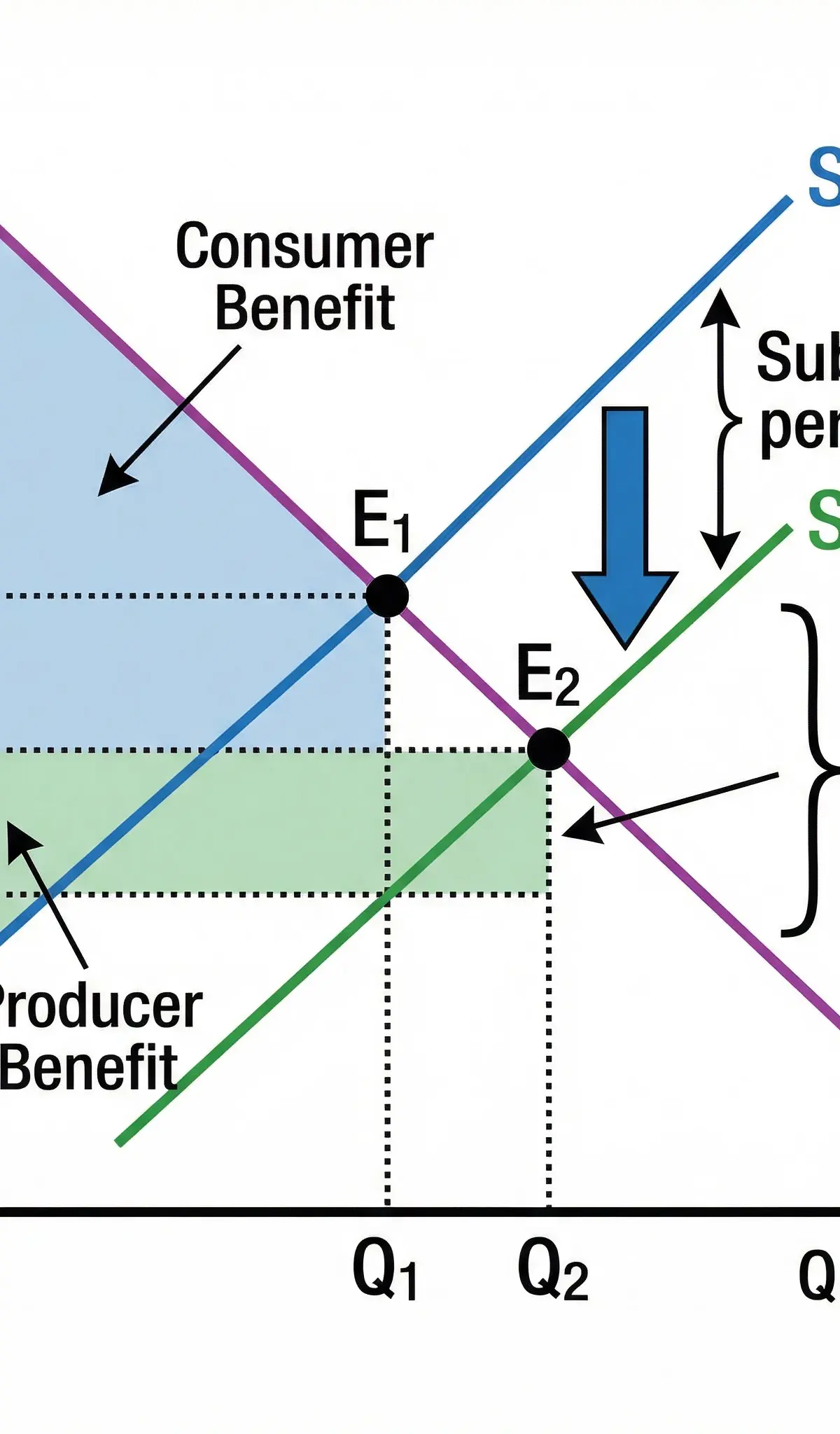 The Effect of a Subsidy