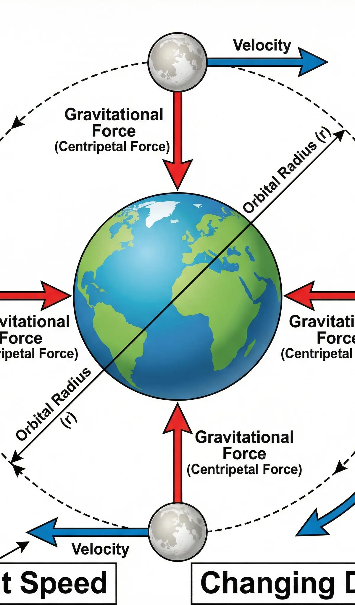 Circular orbital motion showing constant speed, changing velocity, and centripetal force