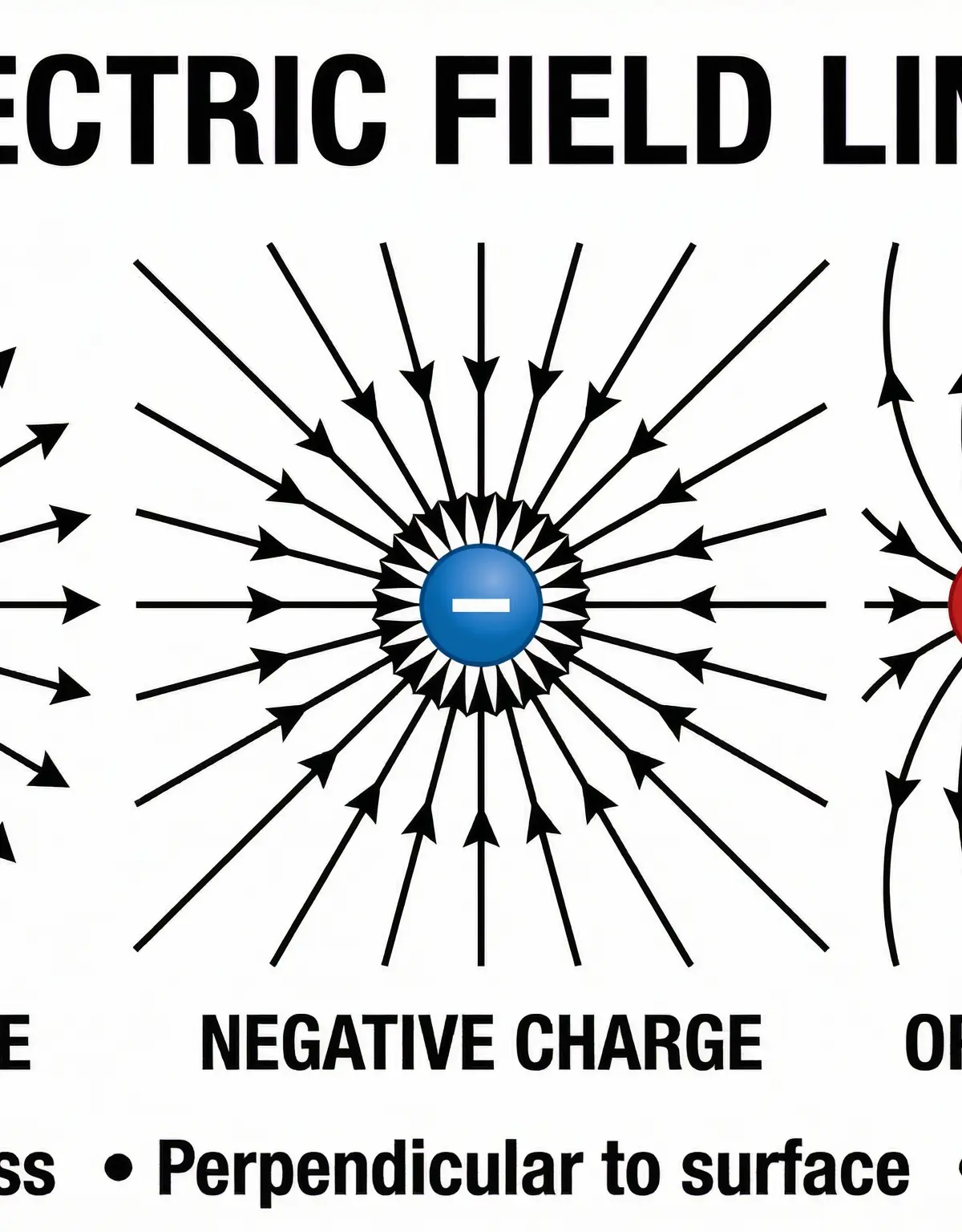 The patterns of electric field lines around point charges.