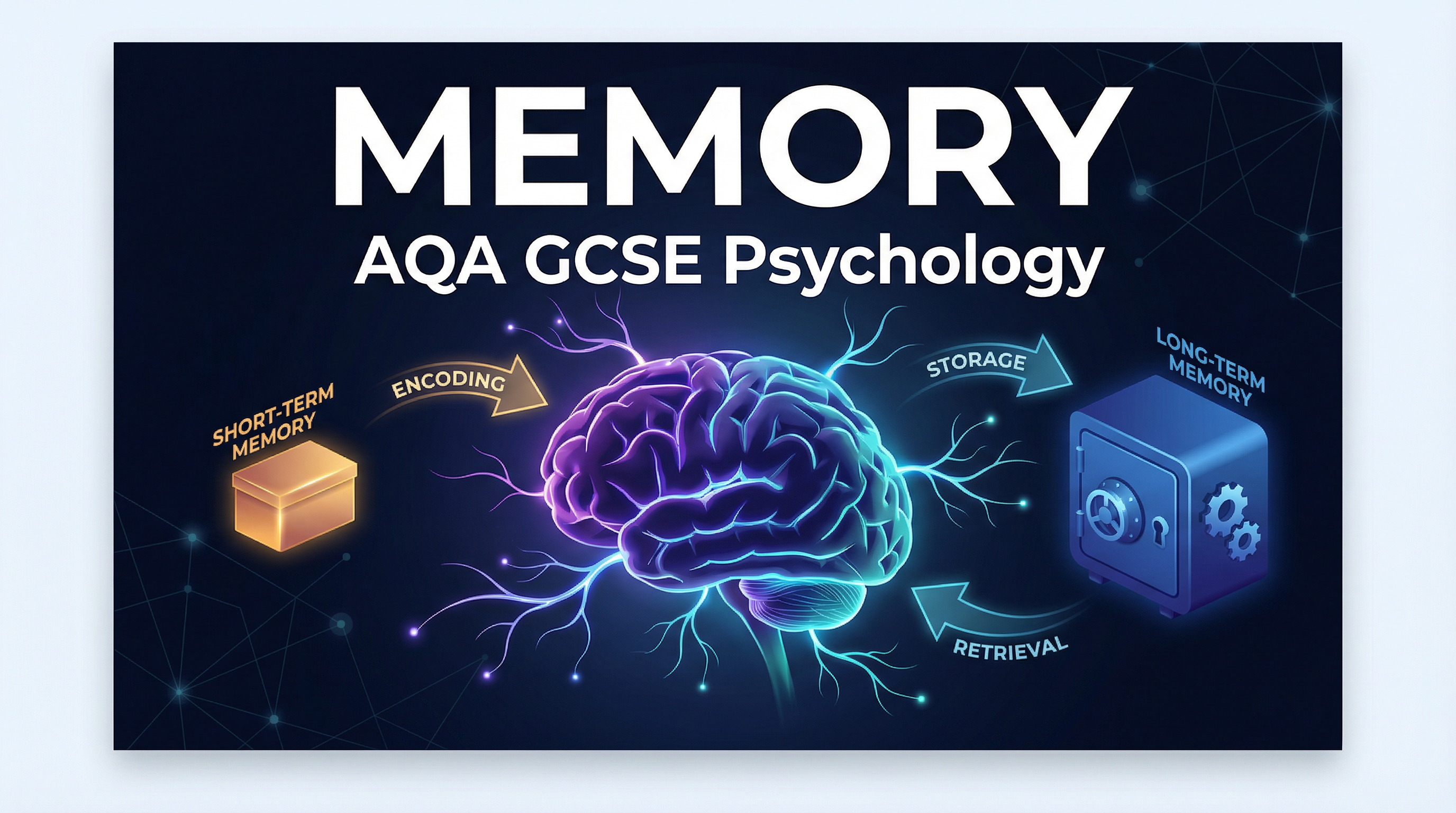 Memory – Psychology – GCSE