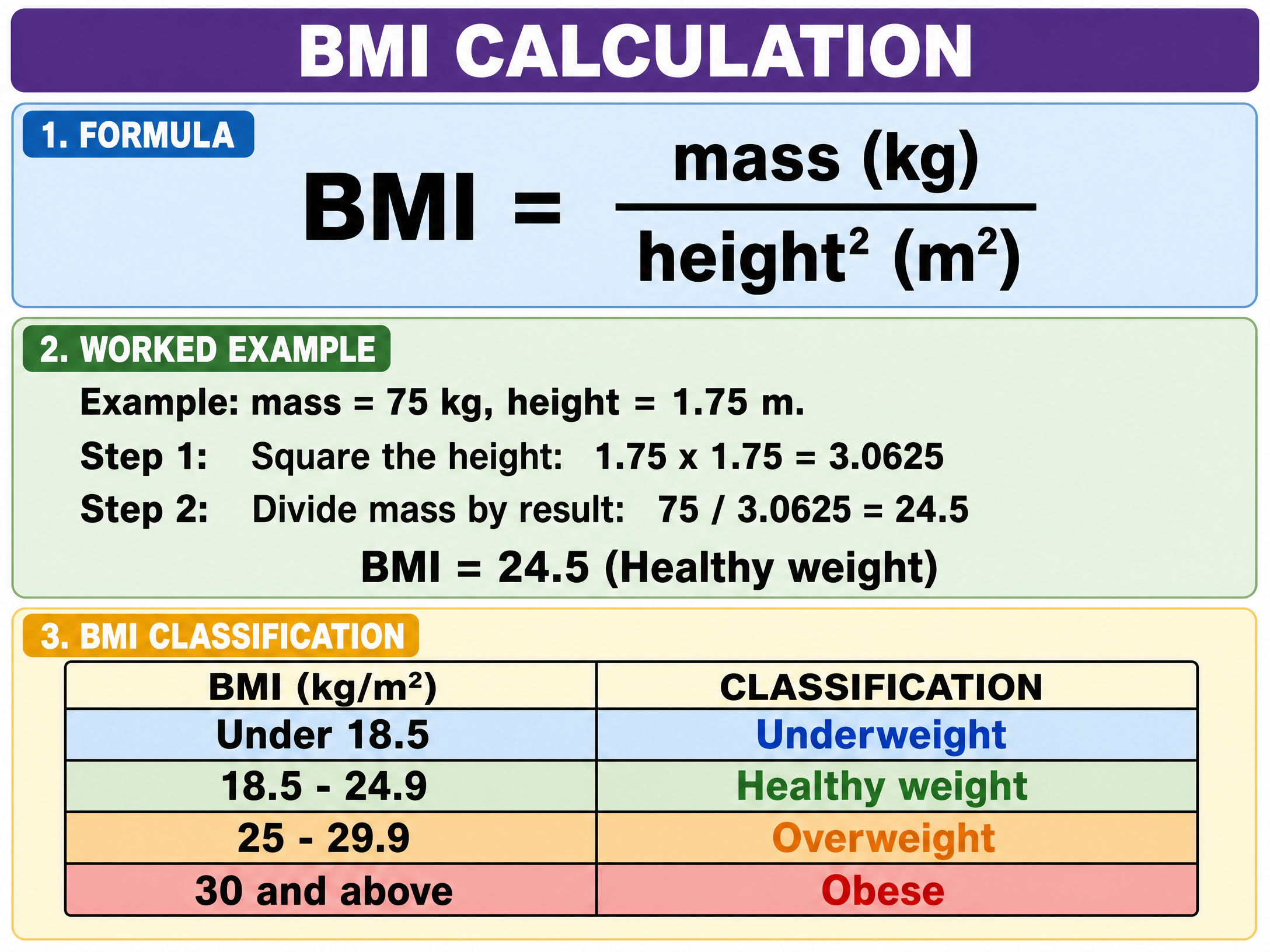 Body Mass Index (BMI) Calculation