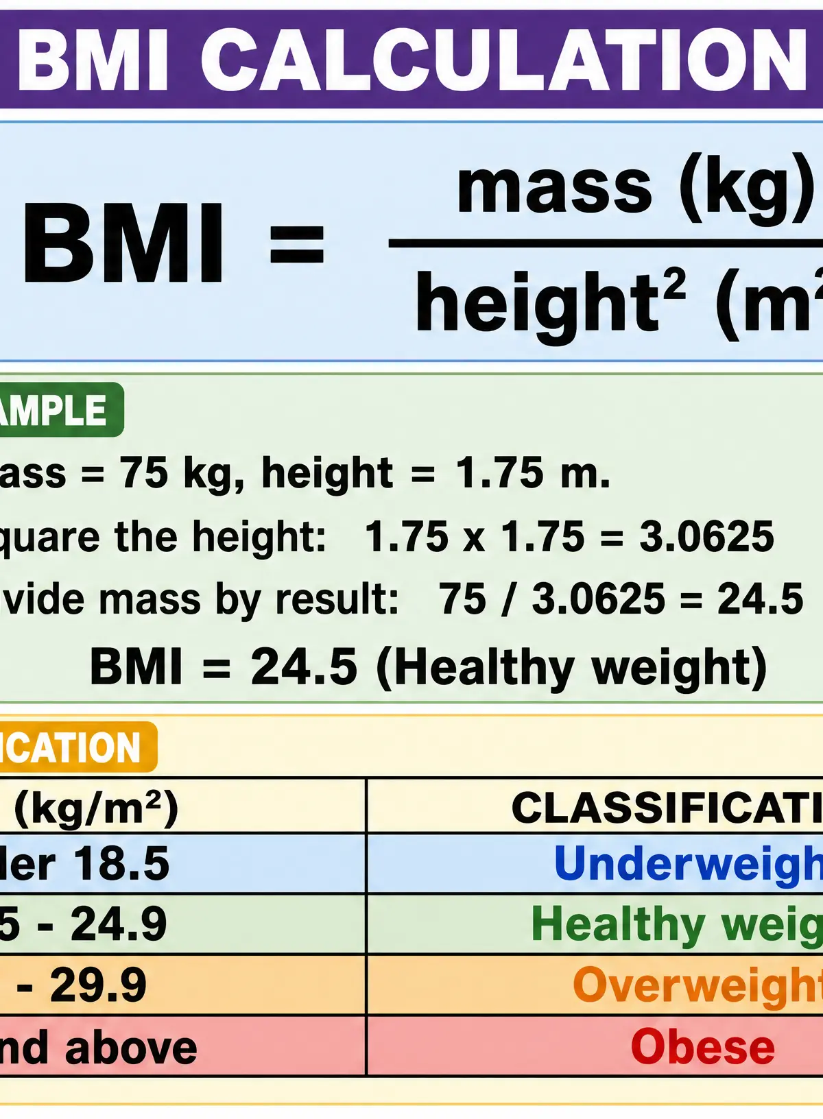 Body Mass Index (BMI) Calculation