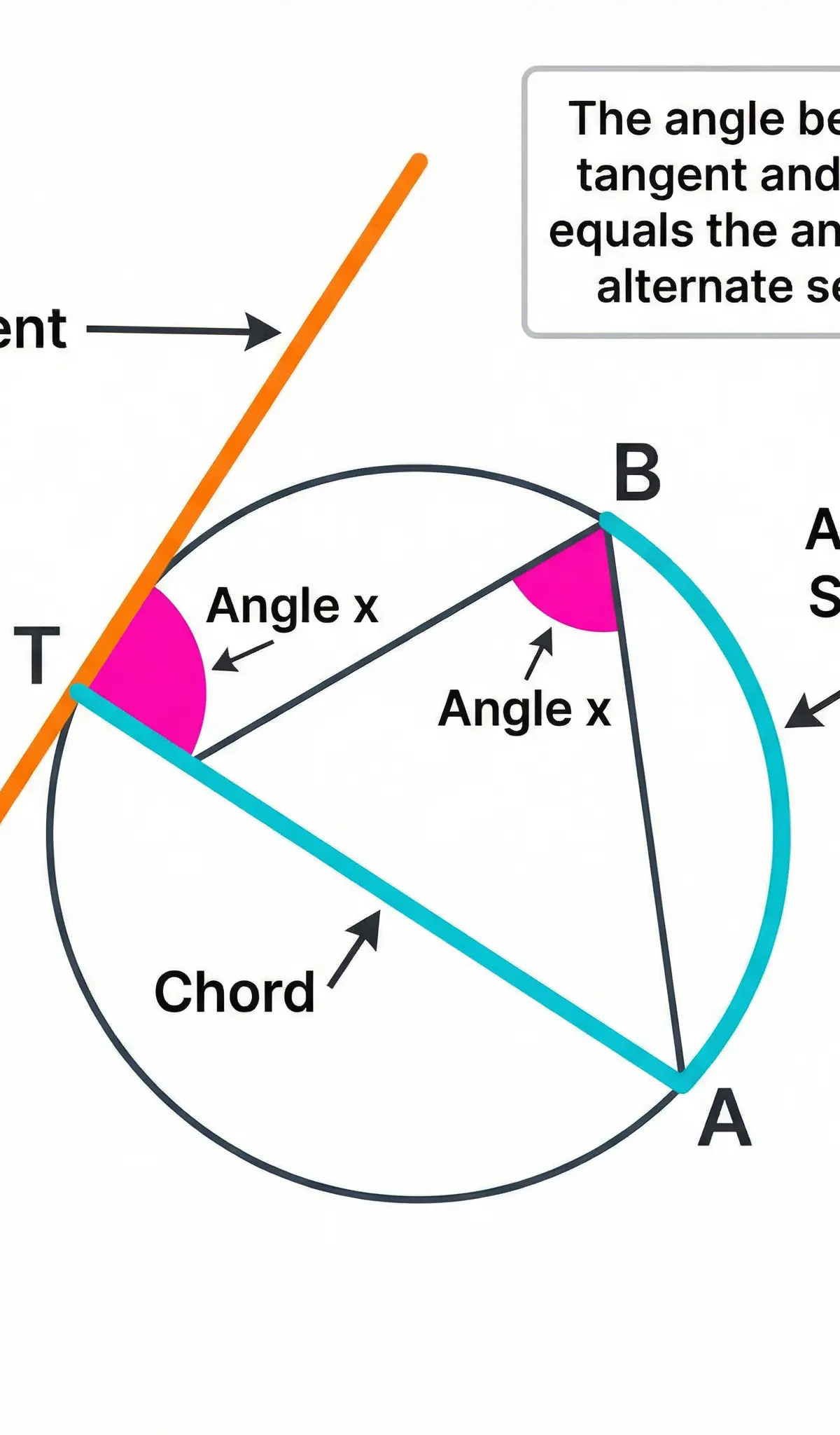 The angle between a tangent and a chord equals the angle in the alternate segment.