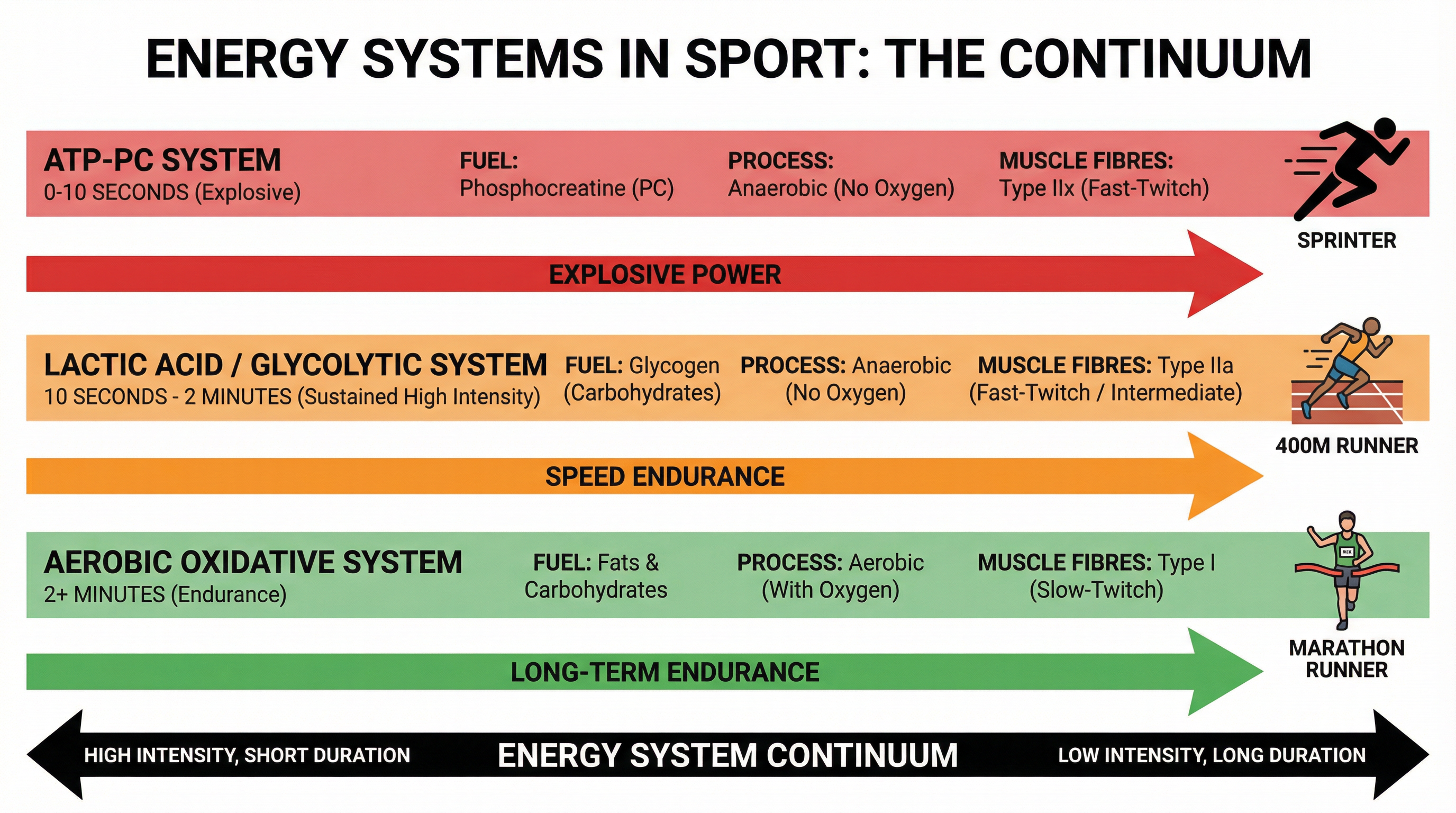 The Energy System Continuum in Sport.
