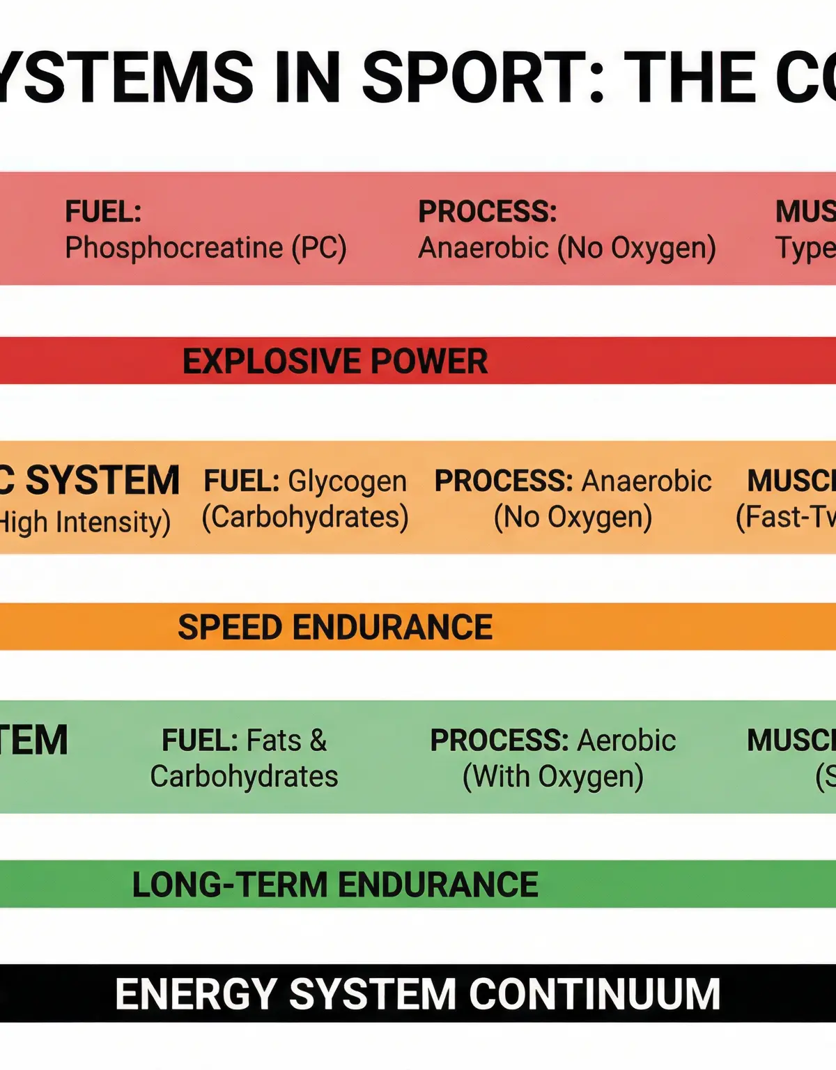 The Energy System Continuum in Sport.