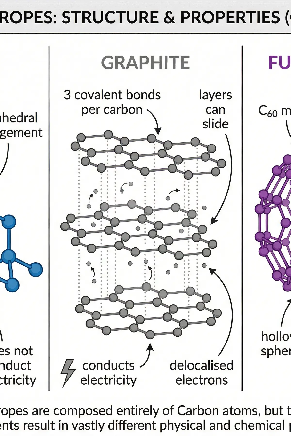 Structures of Carbon Allotropes