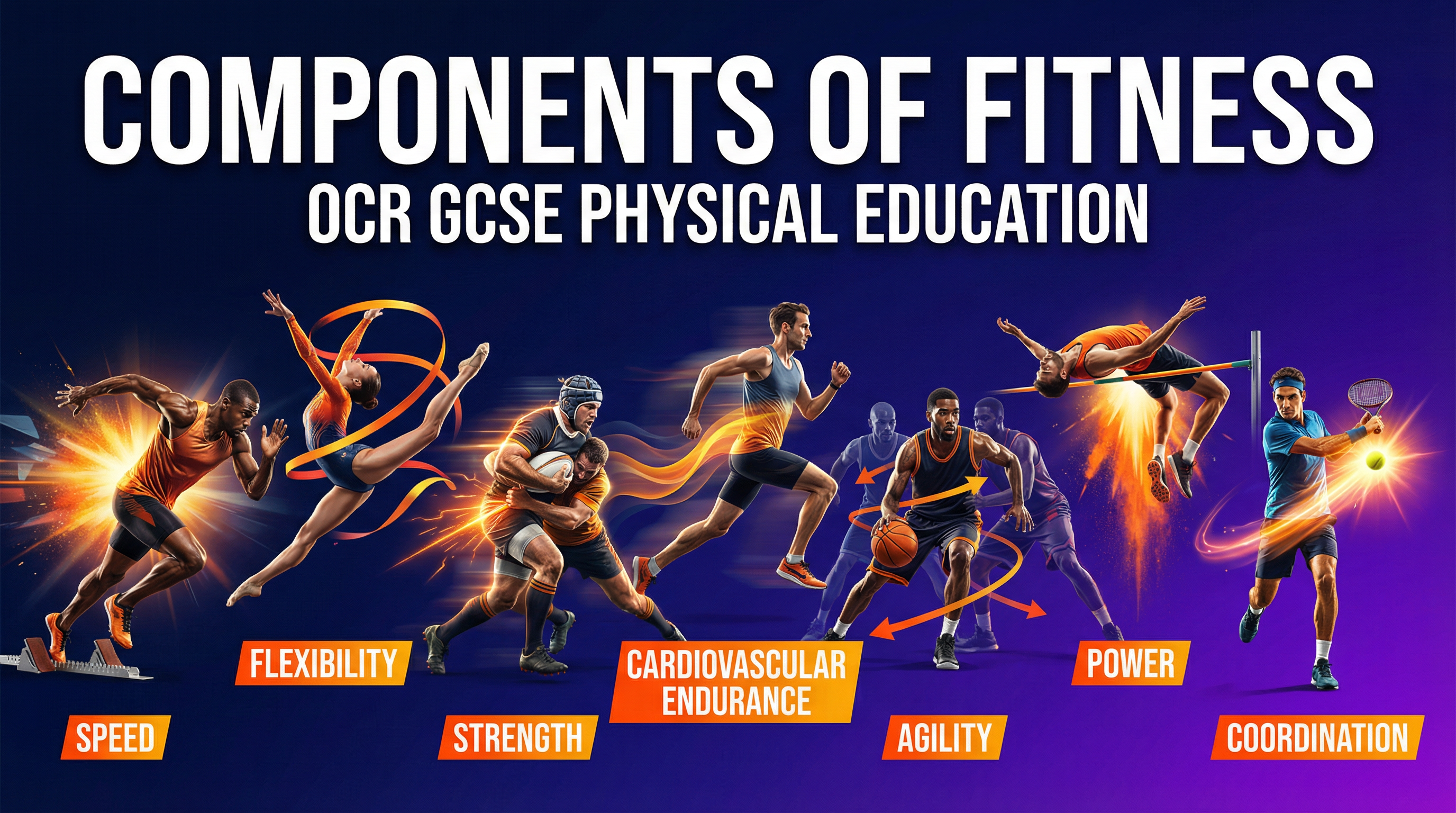 Header image for OCR GCSE PE: Components of Fitness.