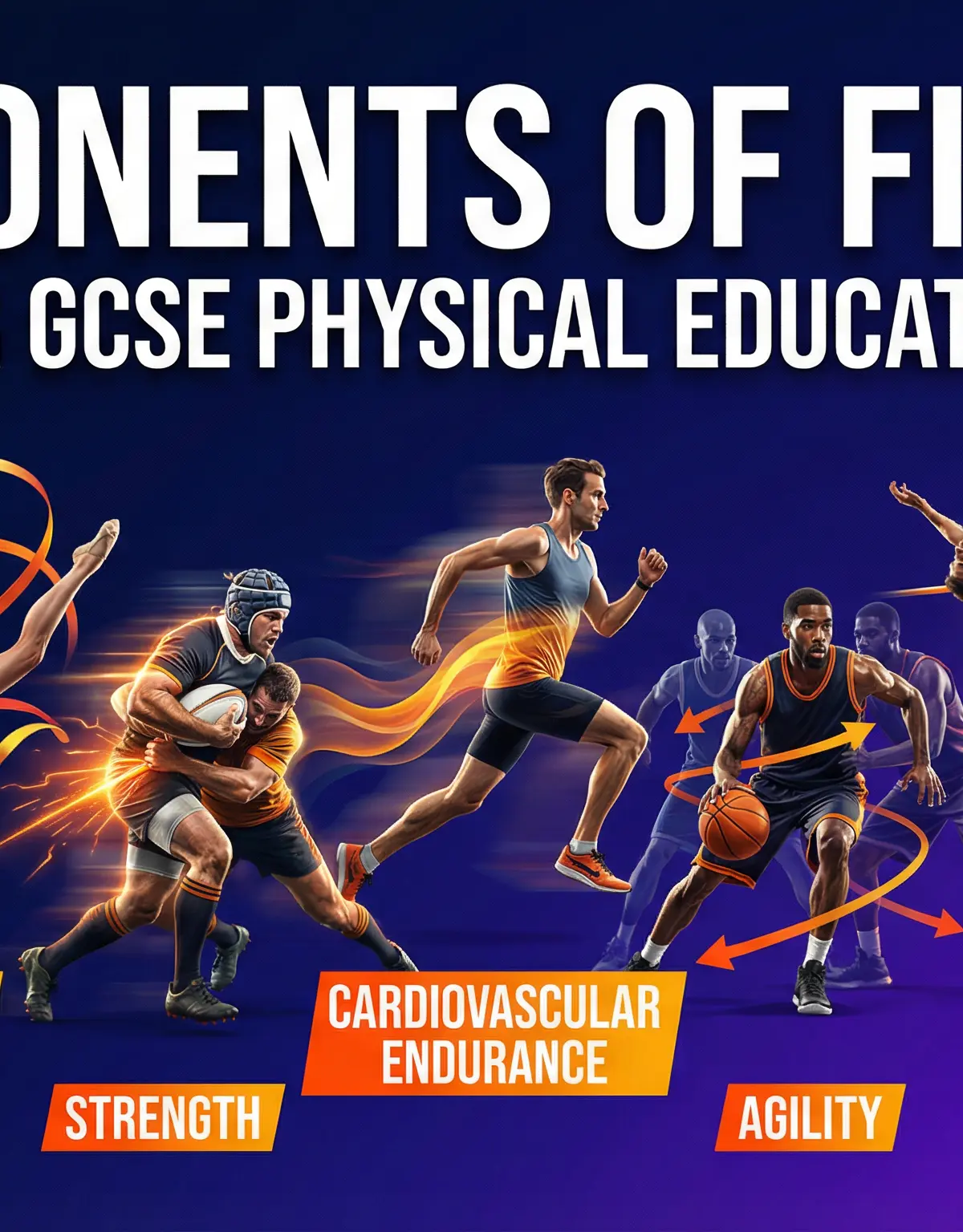 Header image for OCR GCSE PE: Components of Fitness.