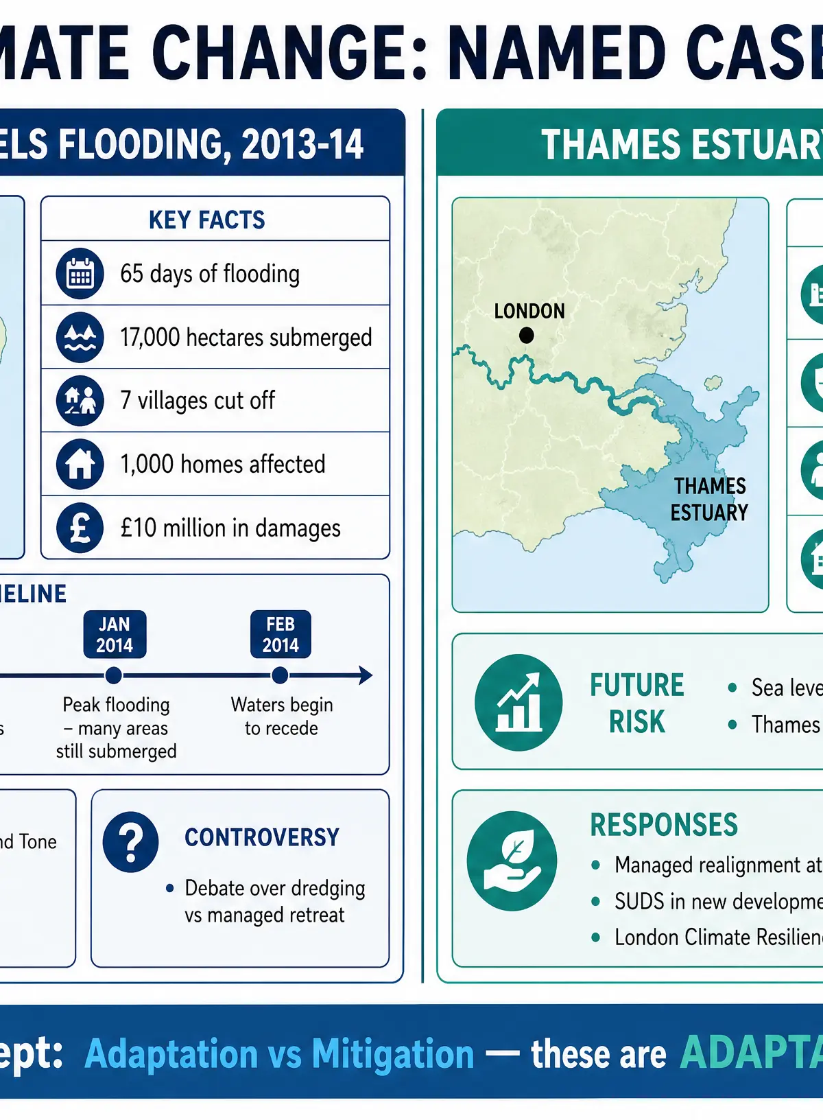 Named Case Studies: Somerset Levels and Thames Estuary