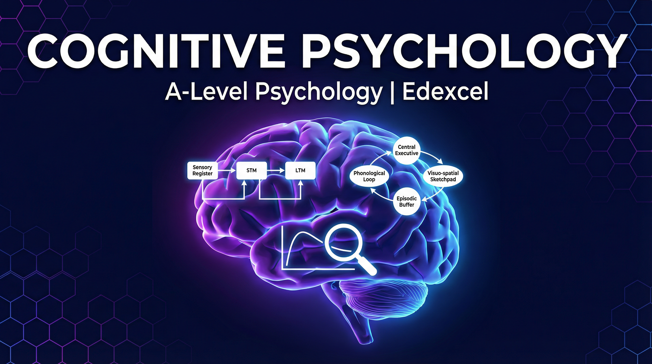 Header image for Cognitive Psychology