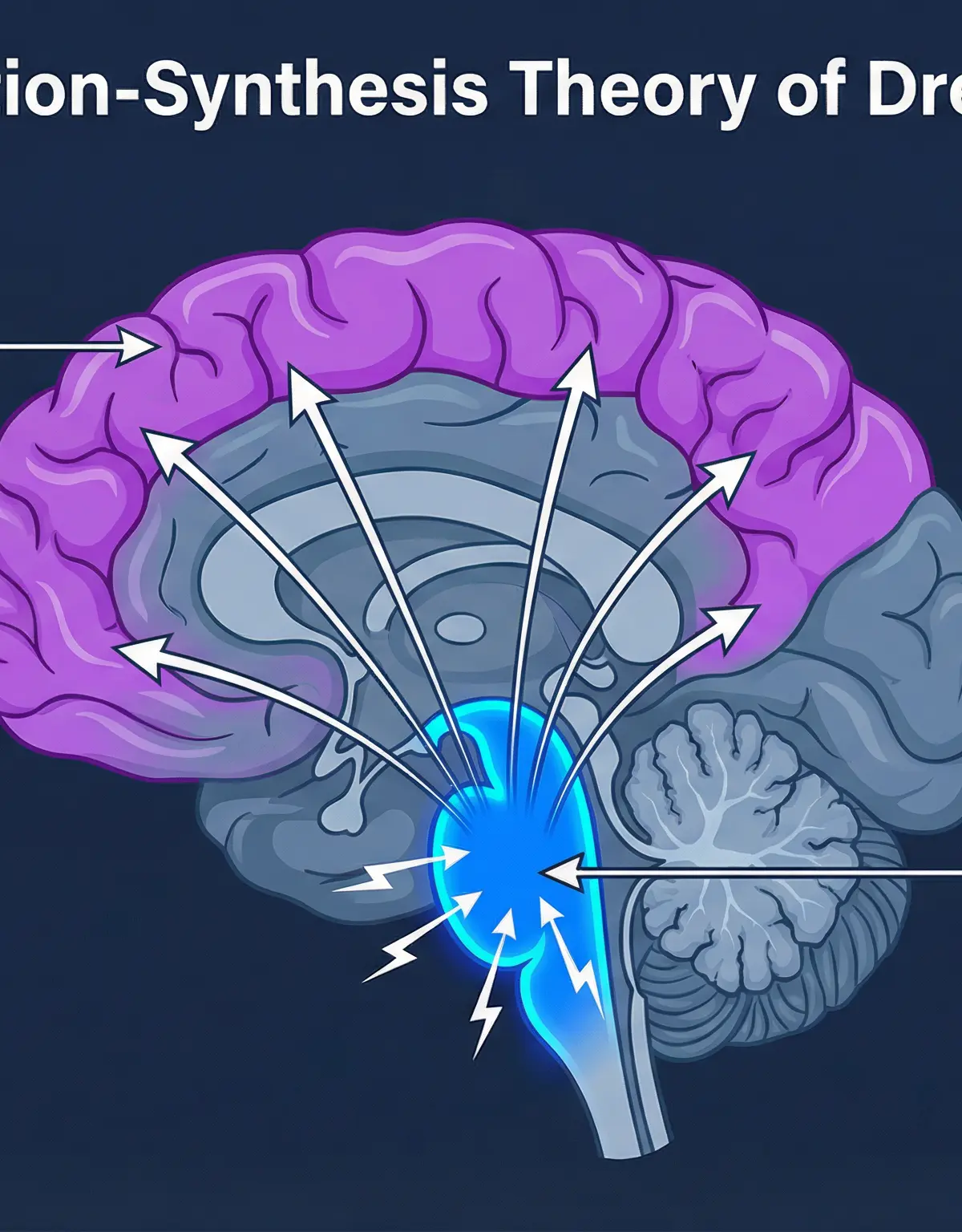 Theories of Dreaming โ Psychology โ GCSE