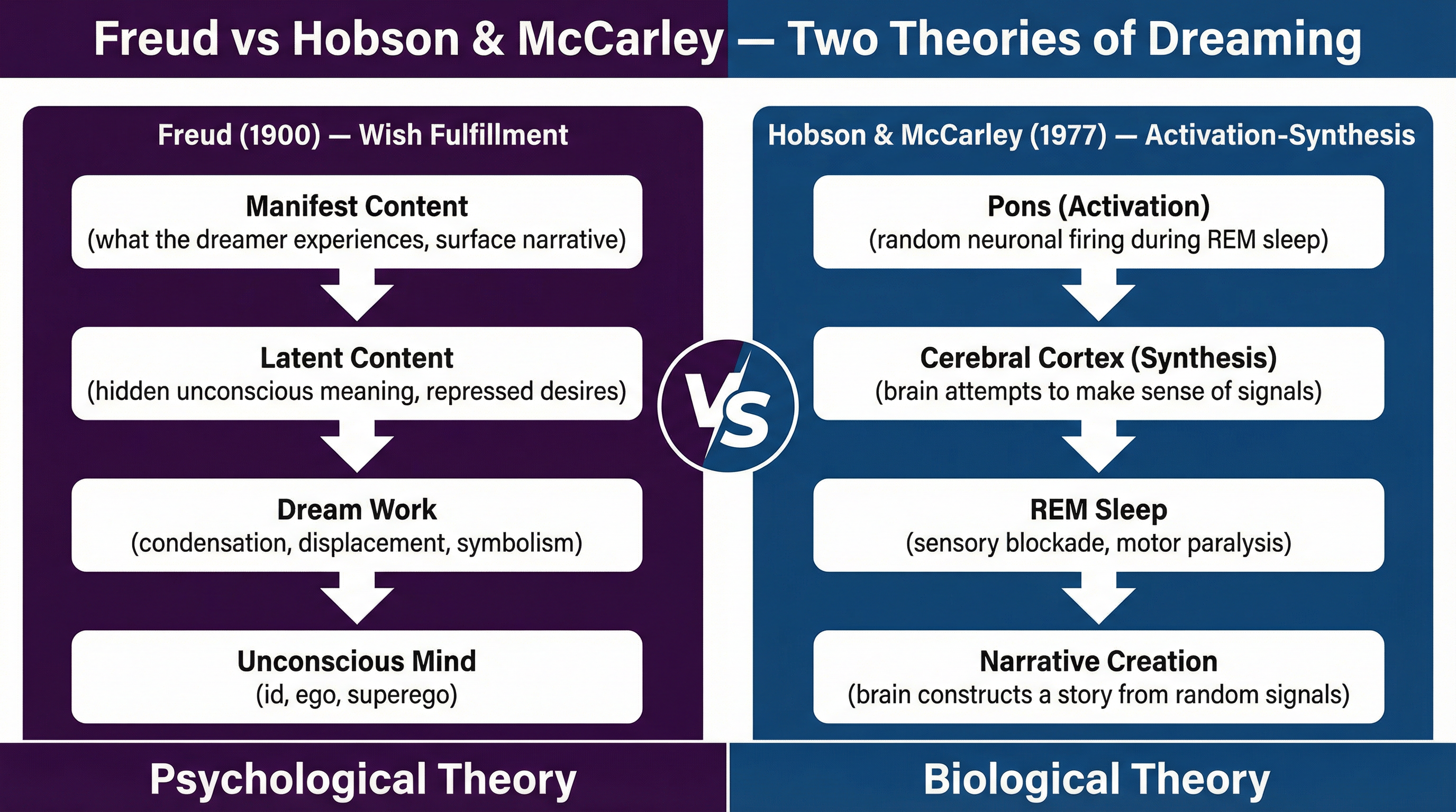 Theories of Dreaming – Psychology – GCSE