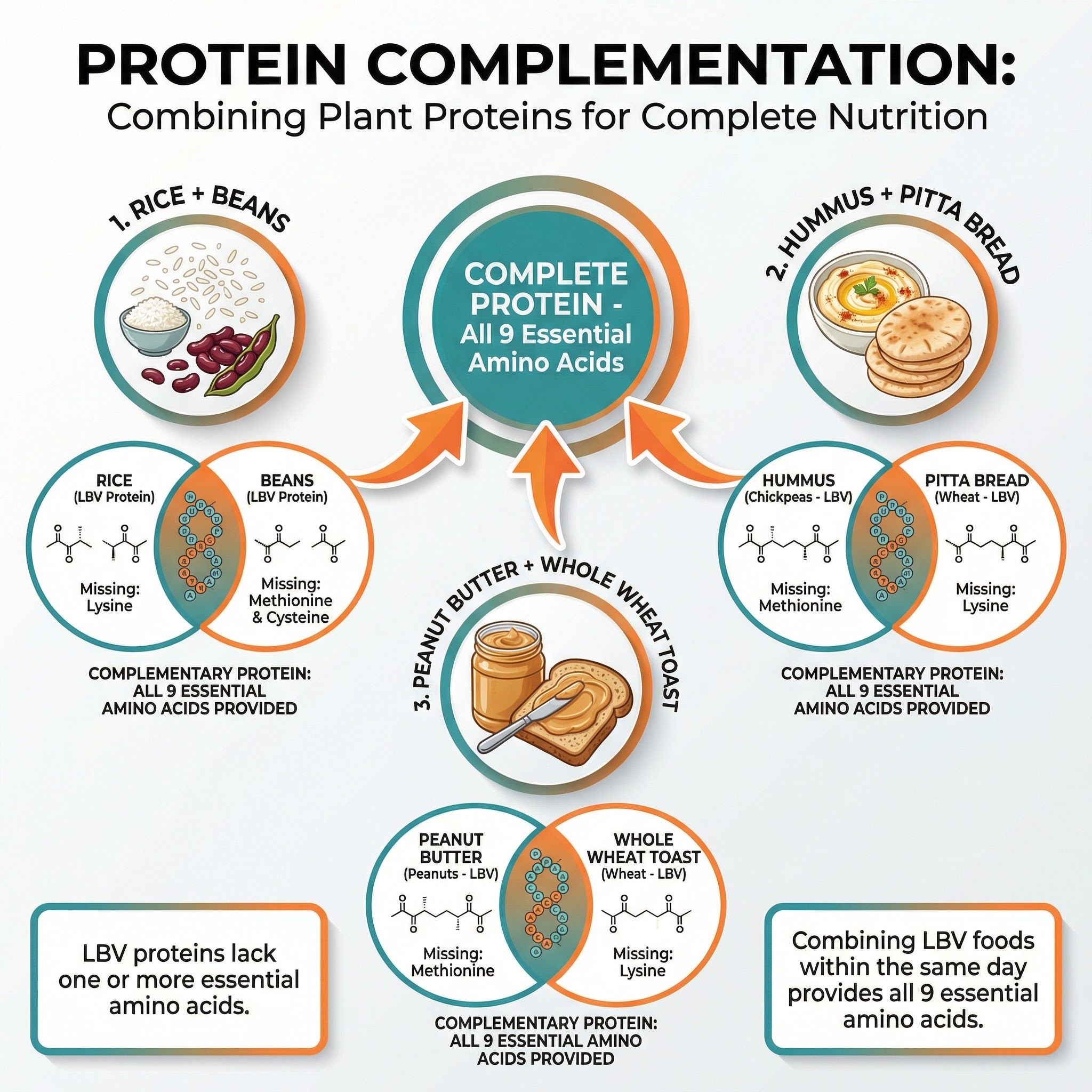 Protein Complementation: Combining Plant Proteins for Complete Nutrition