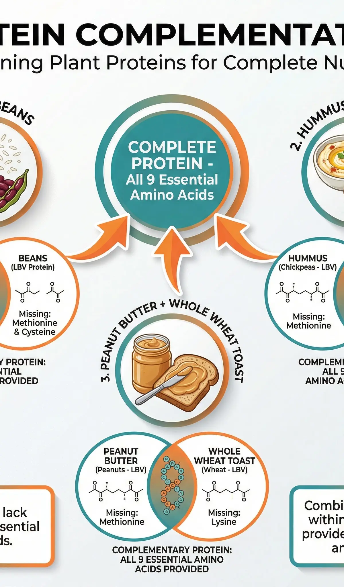 Protein Complementation: Combining Plant Proteins for Complete Nutrition