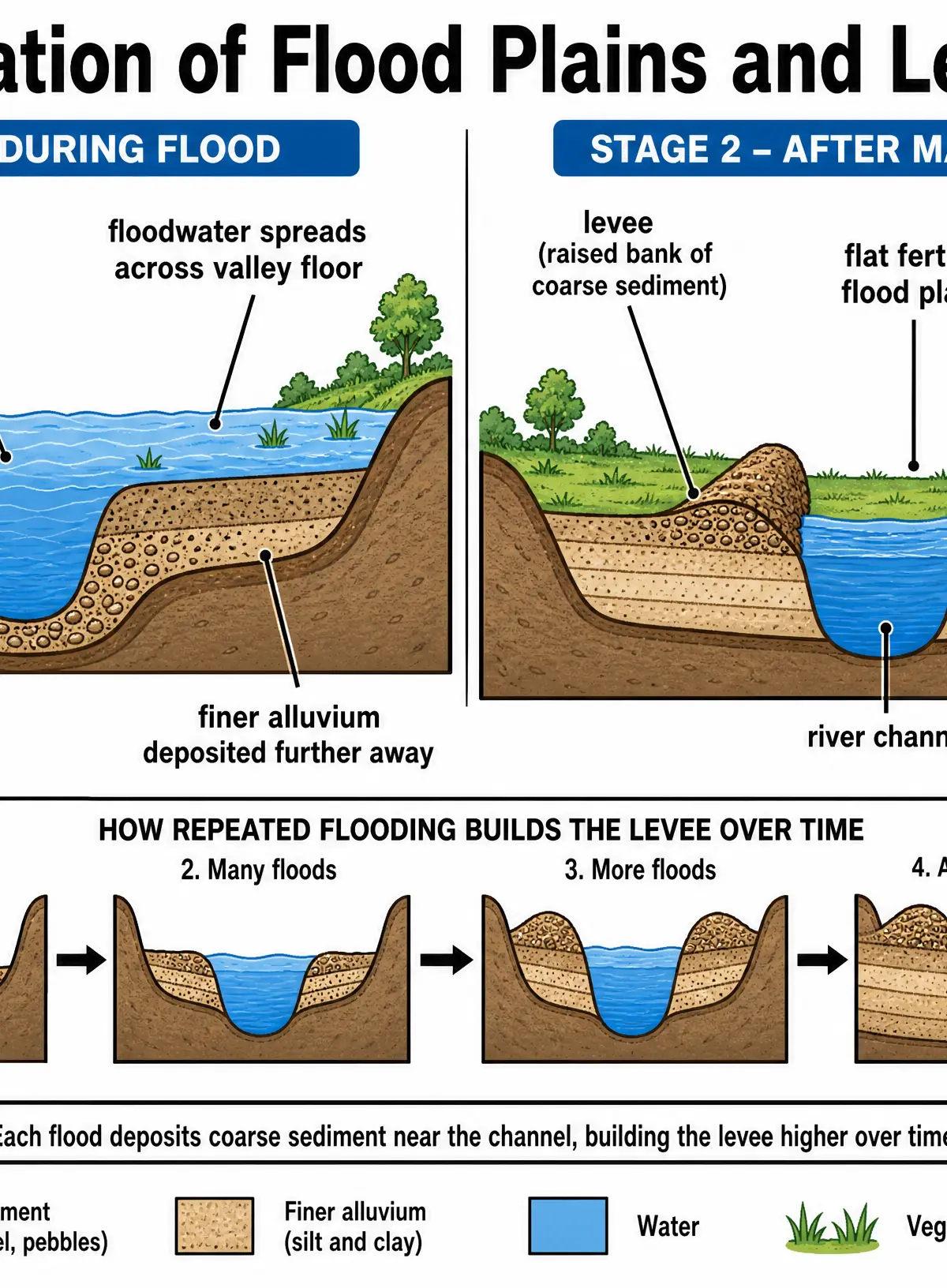 Formation of Flood Plains and Levees