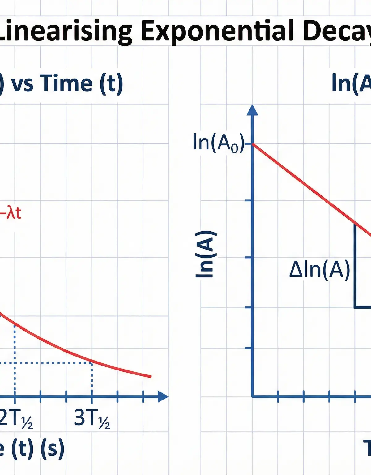 Graphical representation of exponential decay and the method for finding the decay constant.