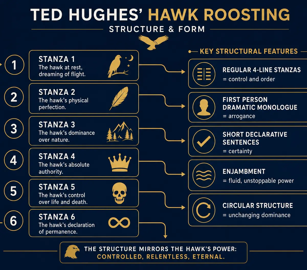 Structure and Form of Hawk Roosting