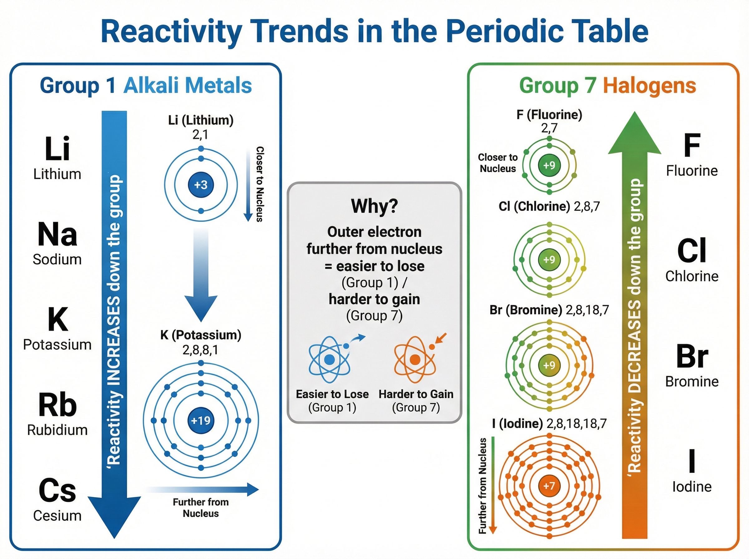 Reactivity Trends in Groups 1 and 7