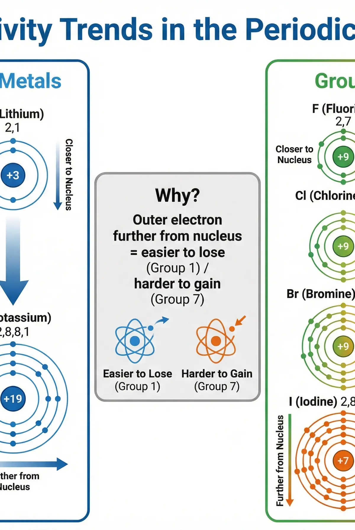 Reactivity Trends in Groups 1 and 7