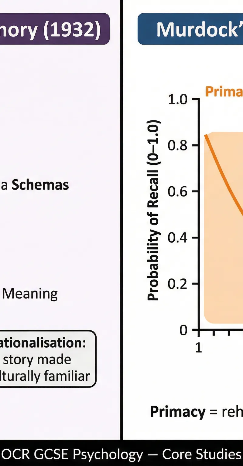 Contrasting the reconstructive nature of memory with evidence for separate memory stores.